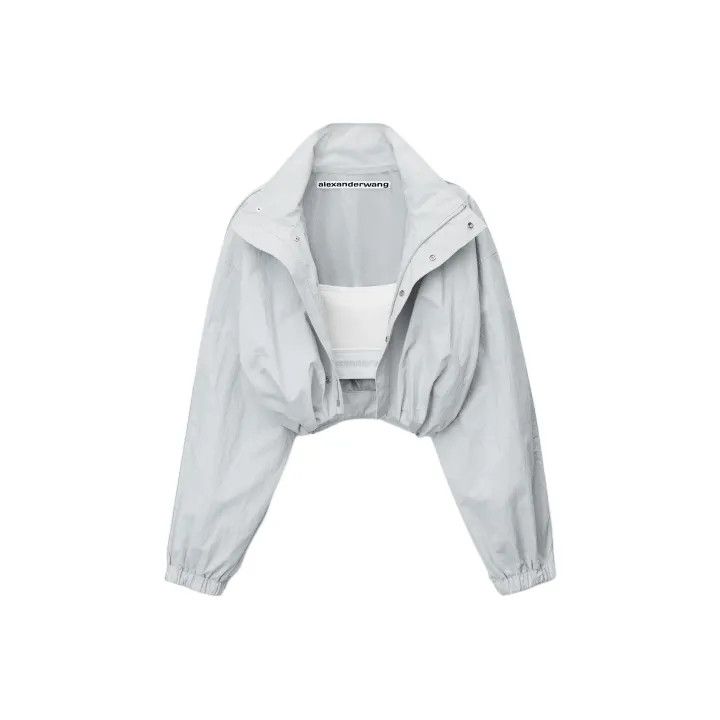 Alexander Wang Alexander Wang Gray Blue Long Sleeve Jacket 0079 Size XXS / US 00 / IT 34 - 1 Thumbnail