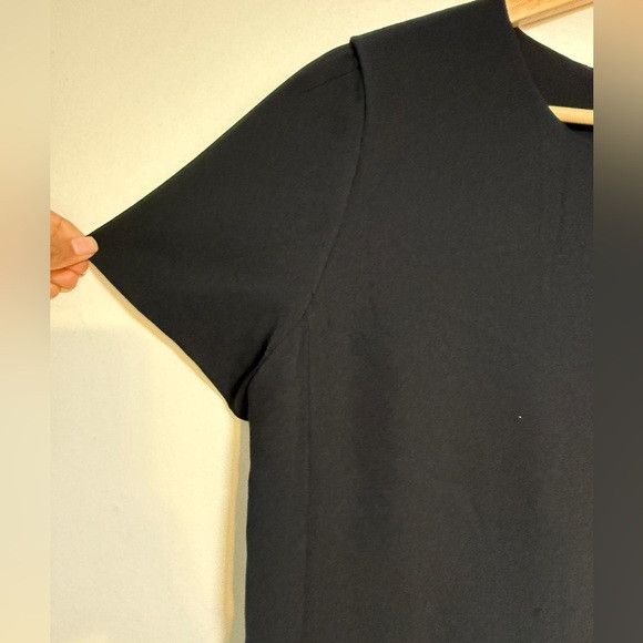 Aritzia Babaton Black Short Sleeve Mini Dress Size 10 Size L / US 10 / IT 46 - 3 Thumbnail