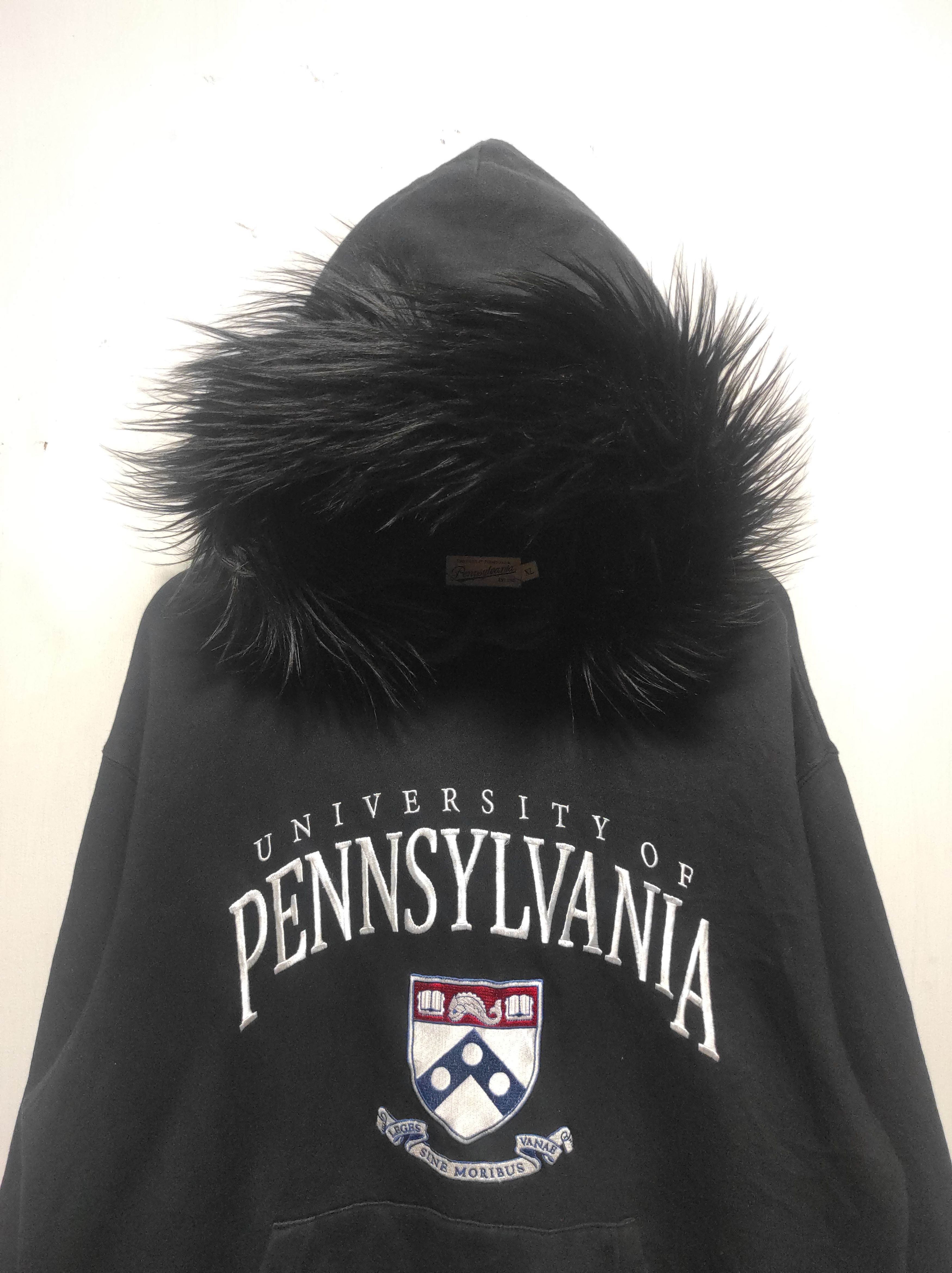 Hysteric Glamour University Of Pennsylvania Fur Hoodie IfSixWasNine LGB style Size US XL / EU 56 / 4 - 3 Thumbnail