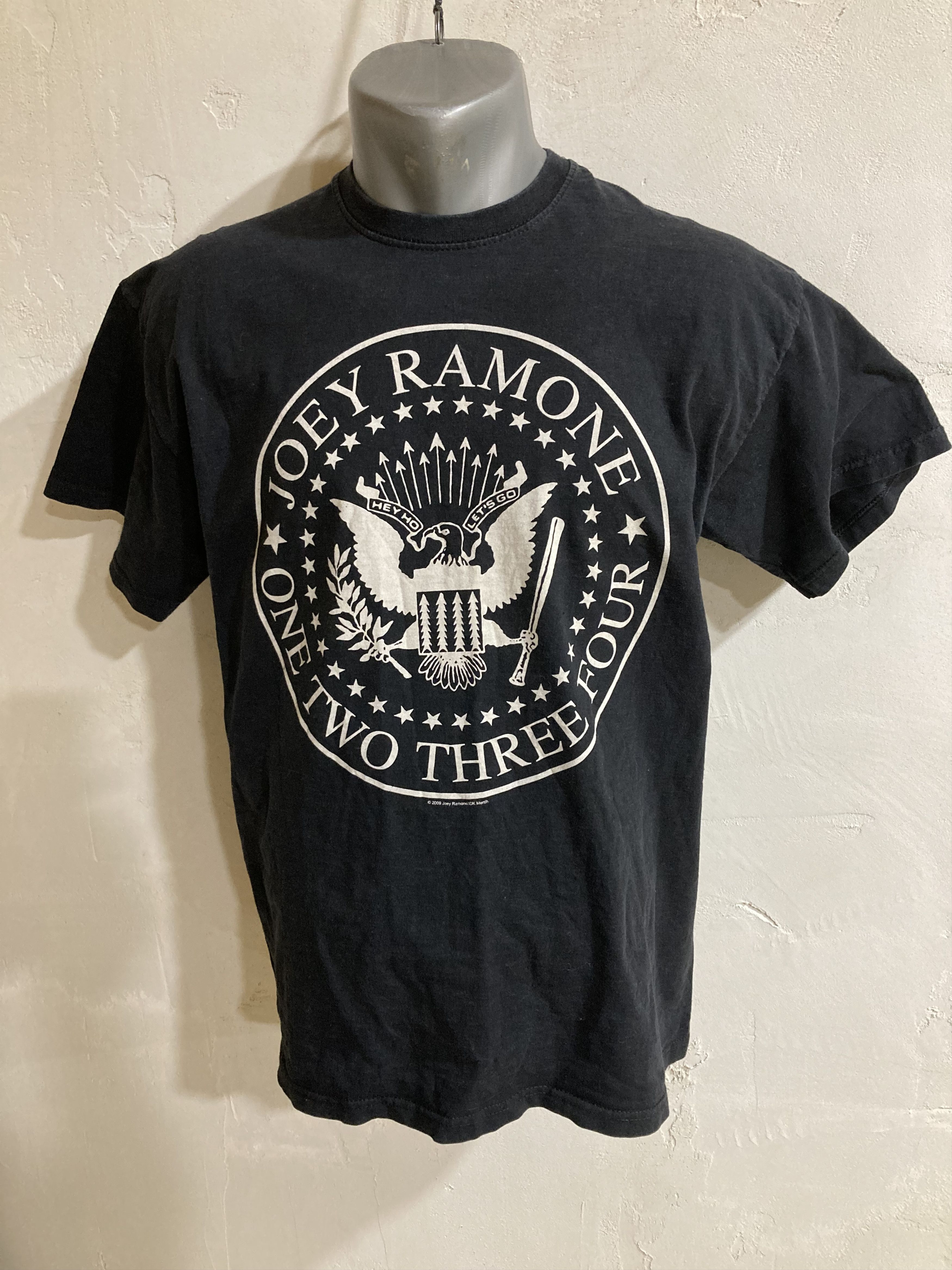 Band Tees Vintage Joey Ramone 2009 Cotton Black Faded Band T Shirt Size US L / EU 52-54 / 3 - 1 Thumbnail