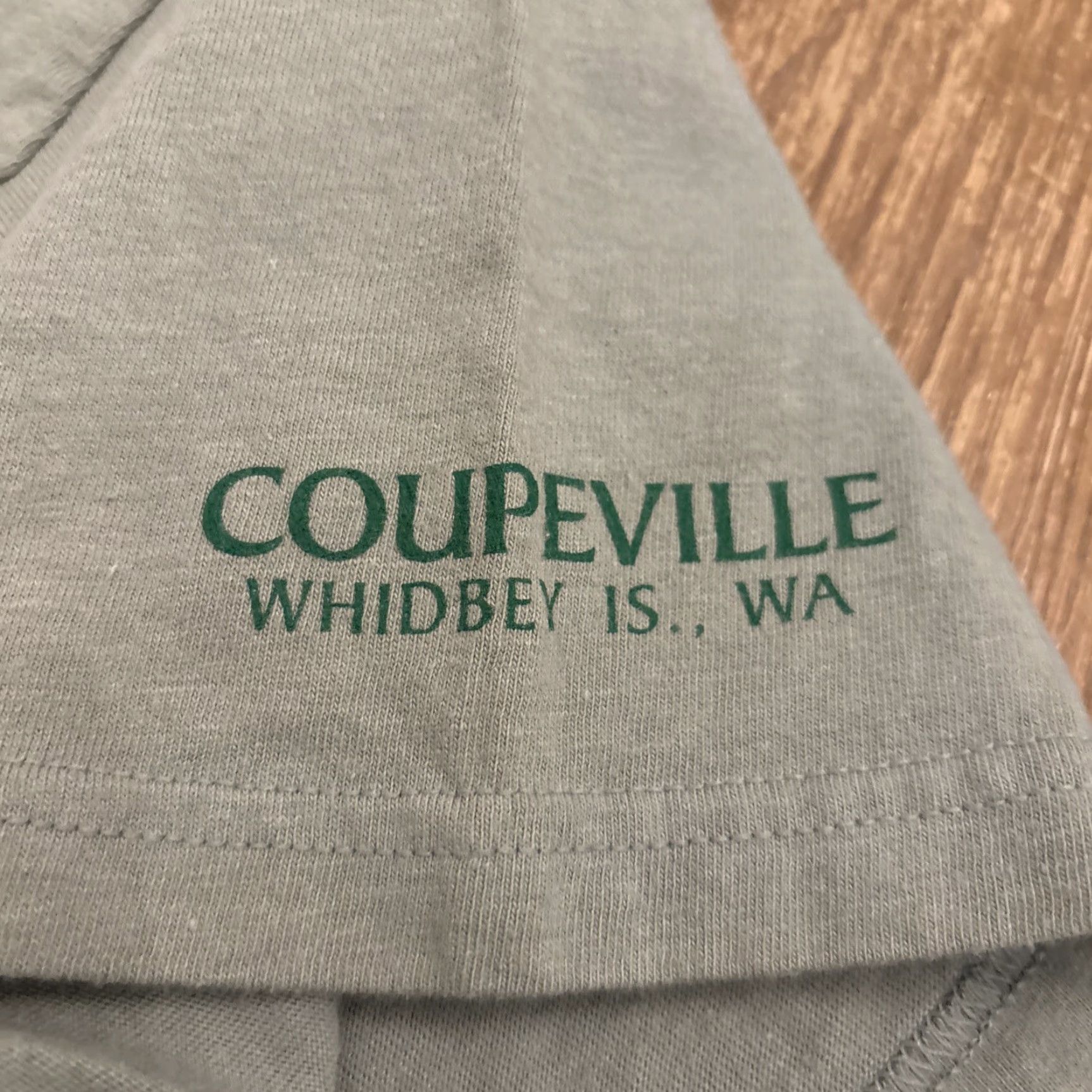 Vintage VINTAGE Hanes Beefy T Green Frog Dragonfly T-Shirt XL Coupeville WA Whidbey Island Unisex Adults Size US XL / EU 56 / 4 - 5 Thumbnail