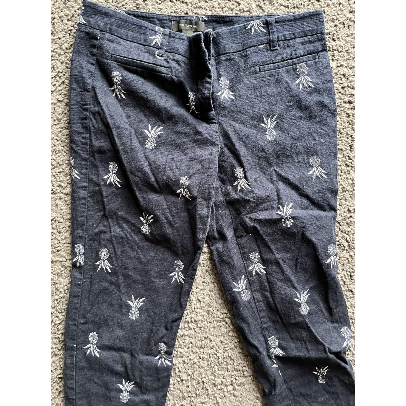 Ann Taylor Ann Taylor Pants Capri Blue Cotton Blend Twill AOP Hippie Designer Casual Travel 2 Womens Size 26" / US 2 / IT 38 - 2 Thumbnail