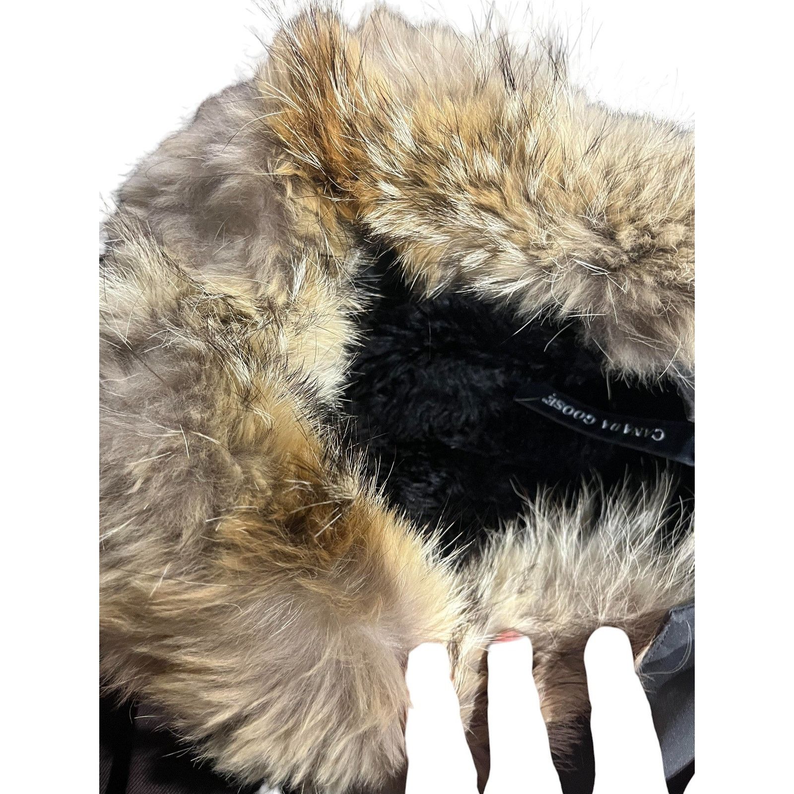Canada Goose Canada Goose Grey Fur Parka Jacket Size US S / EU 44-46 / 1 - 3 Thumbnail