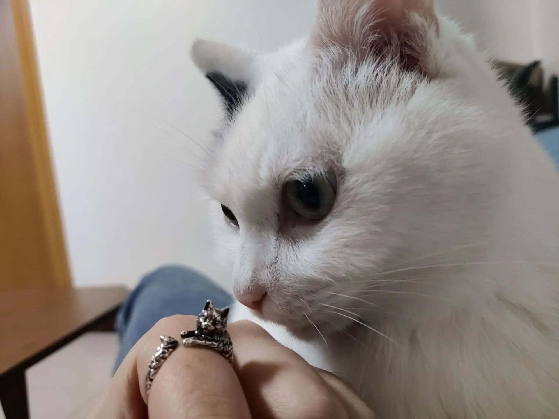 Other Retro Dark Cat Kitty Ring Size ONE SIZE - 6 Thumbnail