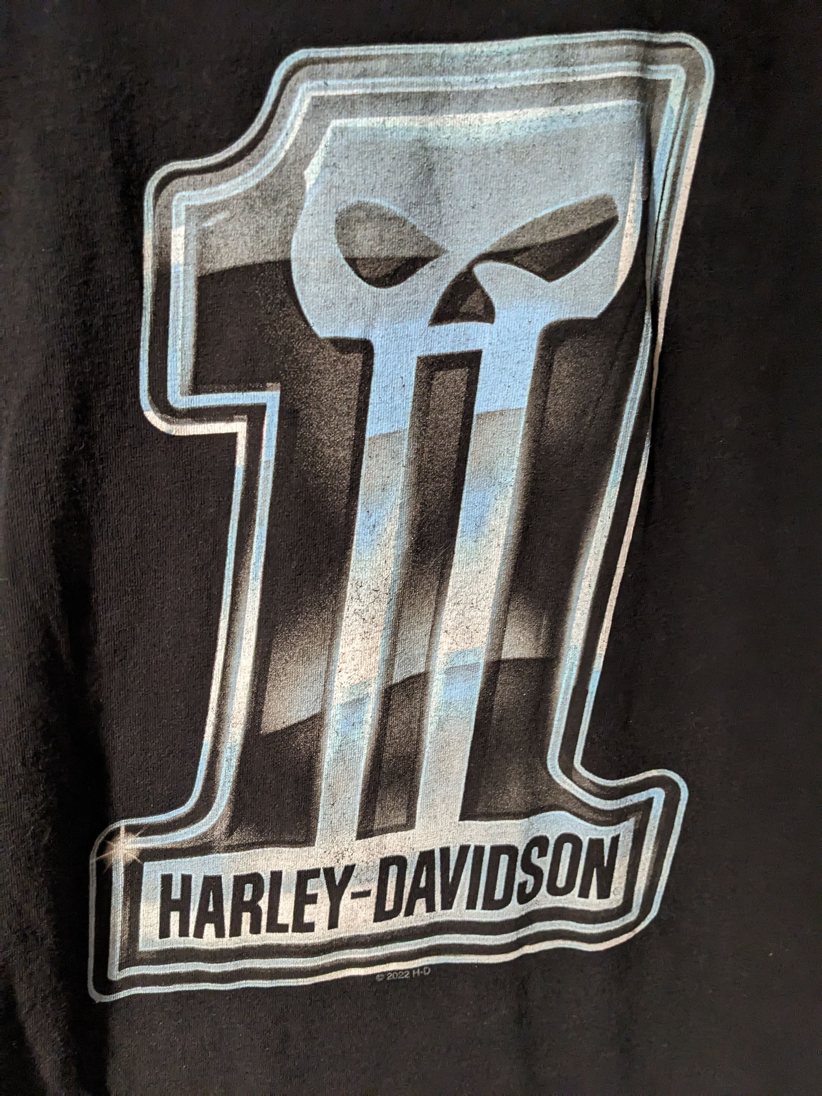 Gildan × Harley Davidson Harley Davidson Motorcycle #1 Skull Black Large T-Shirt Size US L / EU 52-54 / 3 - 2 Thumbnail