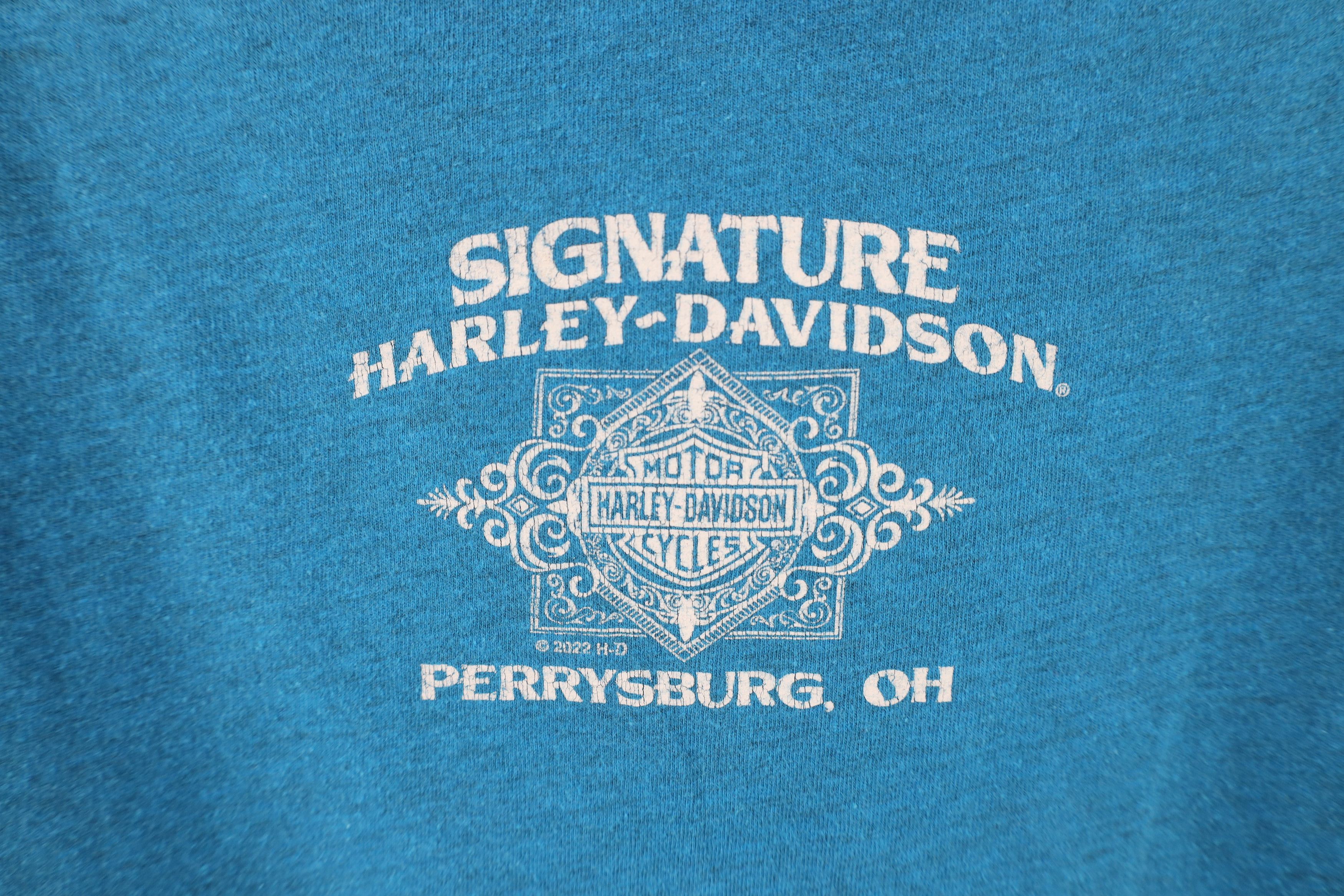 Harley Davidson × Vintage Vintage Y2K Harley Davidson Eagle Wings UFC MMA T-Shirt Blue Size L / US 10 / IT 46 - 11 Thumbnail