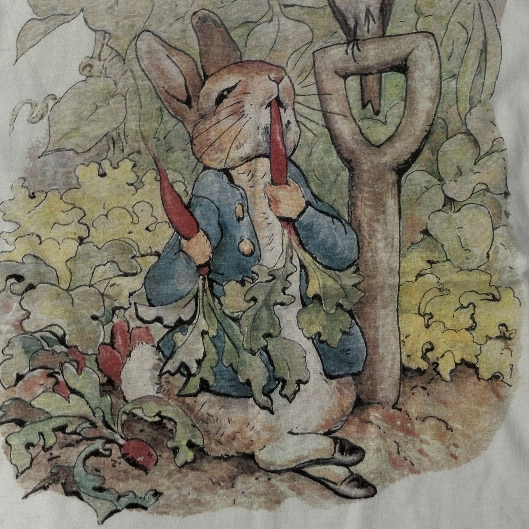 Jaded London Vintage Peter Rabbit Graphic T-Shirt Size XL Size US XL / EU 56 / 4 - 2 Thumbnail