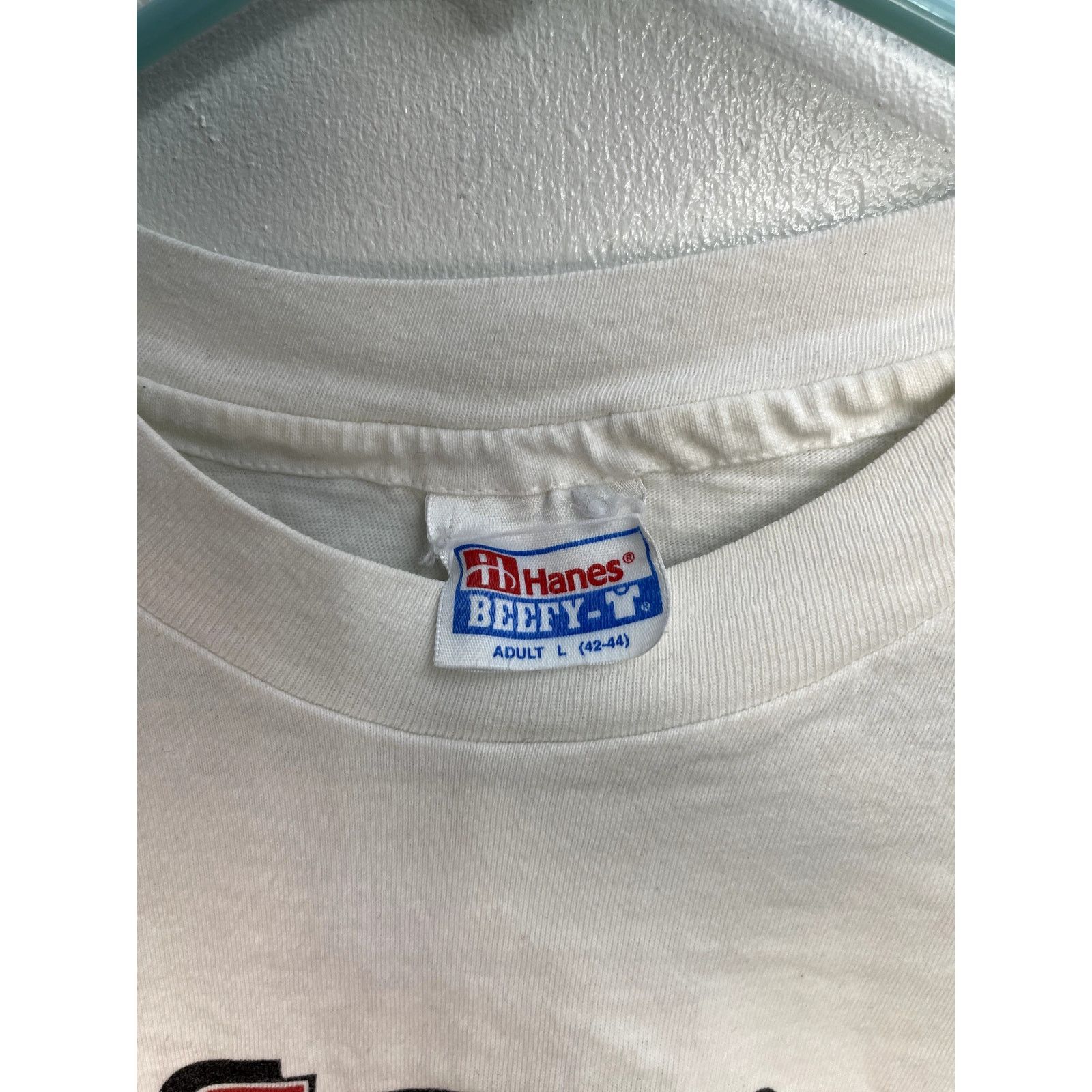 Band Tees × Hanes × Vintage Vintage White Jan & Dean 35th Anniversary Tour Shirt Fits M Size US M / EU 48-50 / 2 - 3 Thumbnail