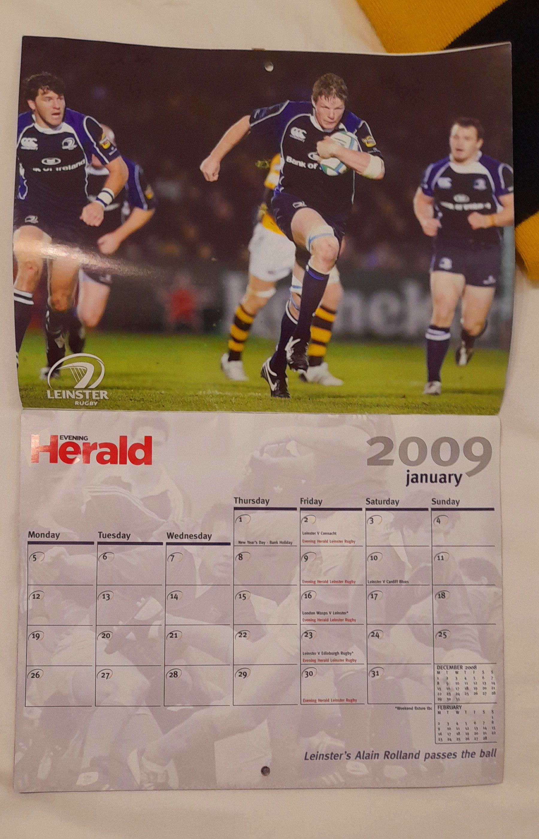 Sports Specialties scarve of London Wasps + calendar of Leinster Rugby 2009 kpl Size ONE SIZE - 3 Thumbnail