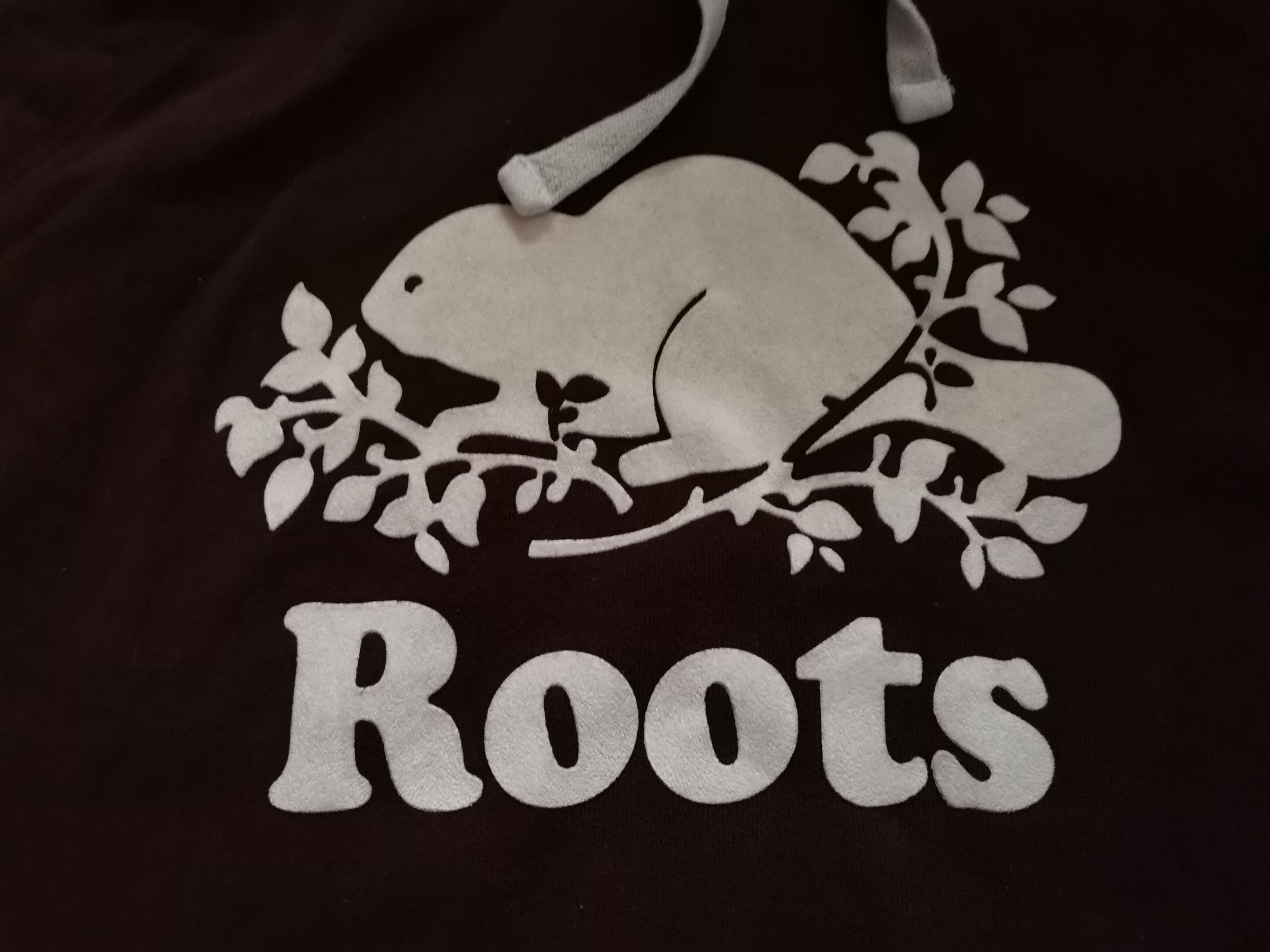 Roots Roots Hoodie Size US L / EU 52-54 / 3 - 2 Thumbnail