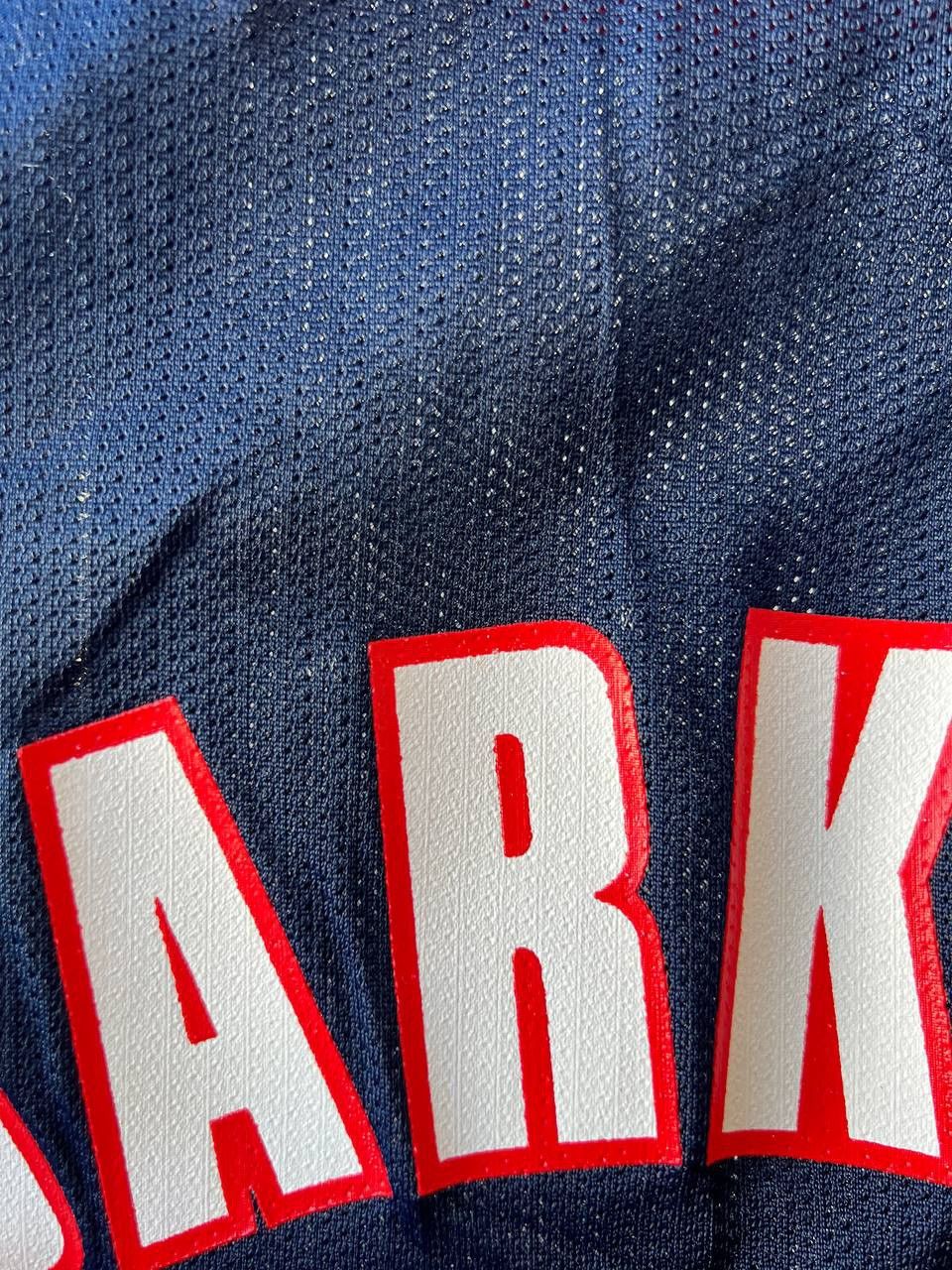 NBA 90’S HOUSTON ROCKETS #4 BARKLEY BASKETBALL CHAMPION JERSEY Size US M / EU 48-50 / 2 - 13 Thumbnail