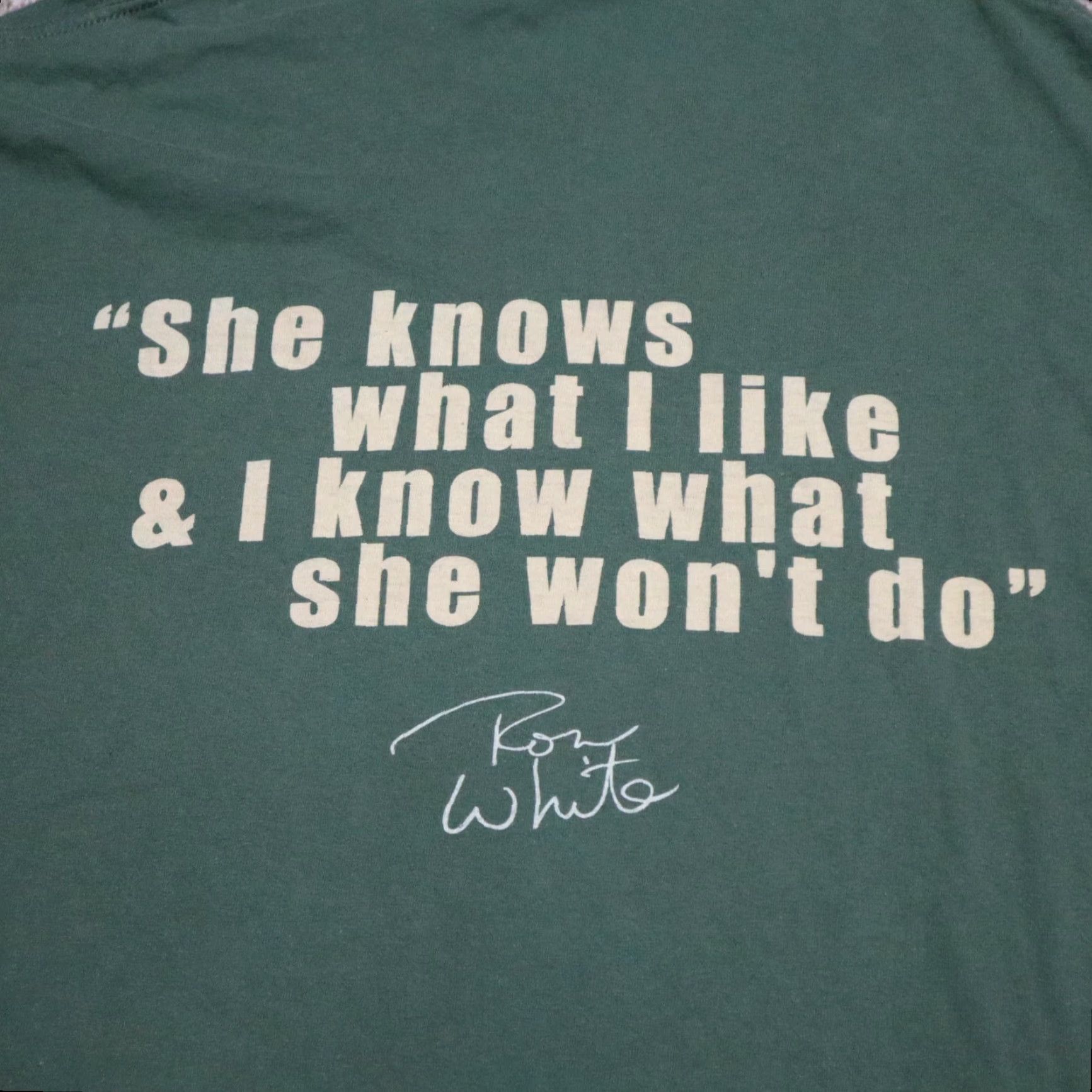 Gildan VINTAGE Ron White Comedy Shirt XL Green Stand Up 2000s Mens Gildan Ultra Cotton T-Shirt Logo Size US XL / EU 56 / 4 - 7 Thumbnail