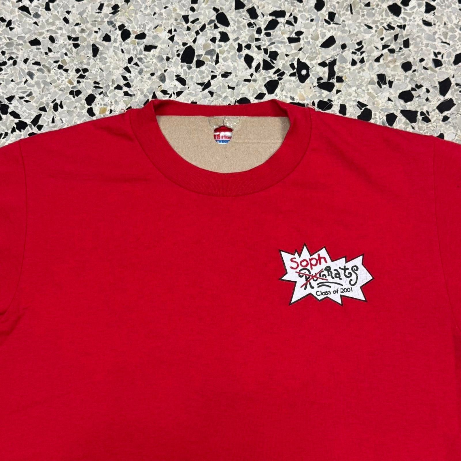 Hanes × Vintage VINTAGE Y2K CLASS OF 2001 SOPHRATS RUGRATS PARODY TEE: Size US S / EU 44-46 / 1 - 6 Thumbnail