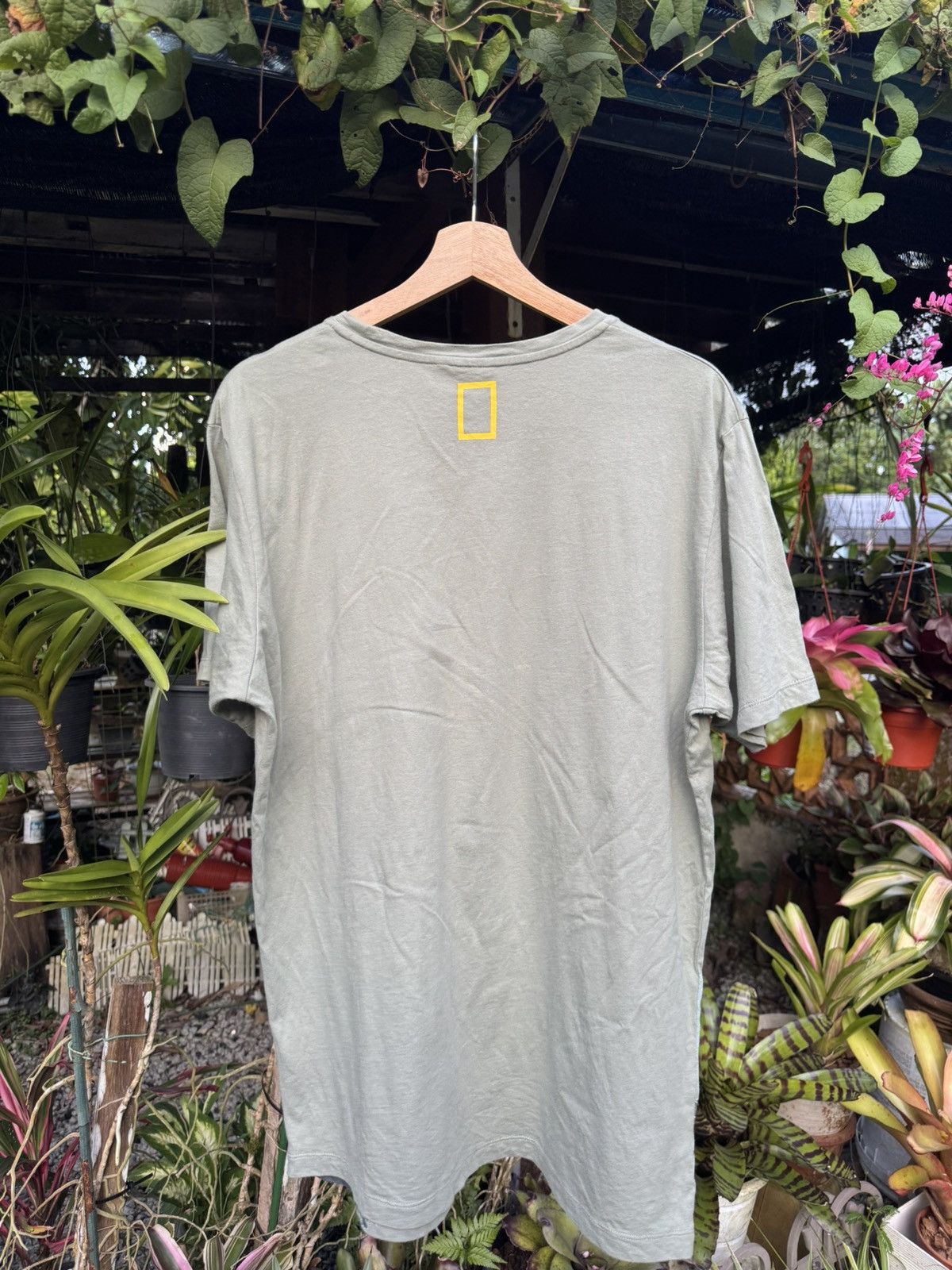 National Geographic x Uniqlo T Shirt