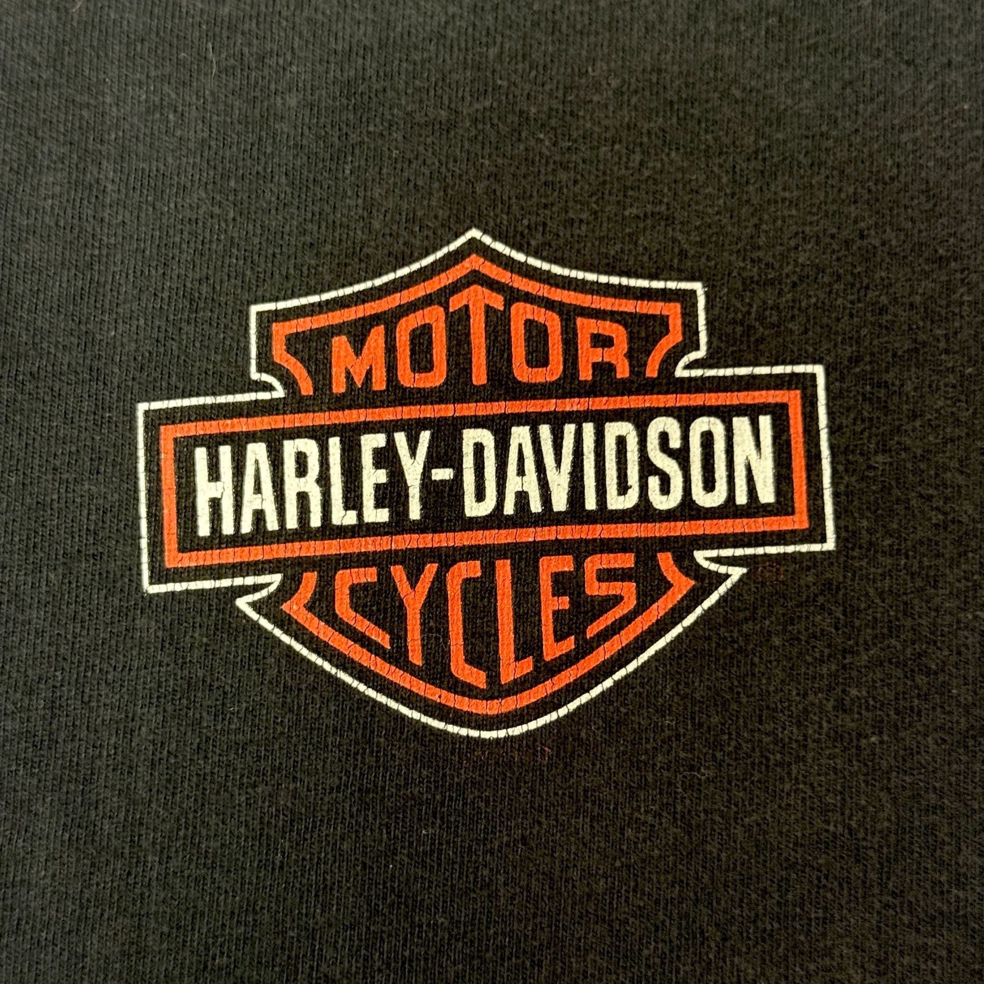 Harley Davidson H-D Historic CHUNKY RIVER CONFEDERATE SOLDIER Biker Shirt 3X Size US XXL / EU 58 / 5 - 5 Thumbnail