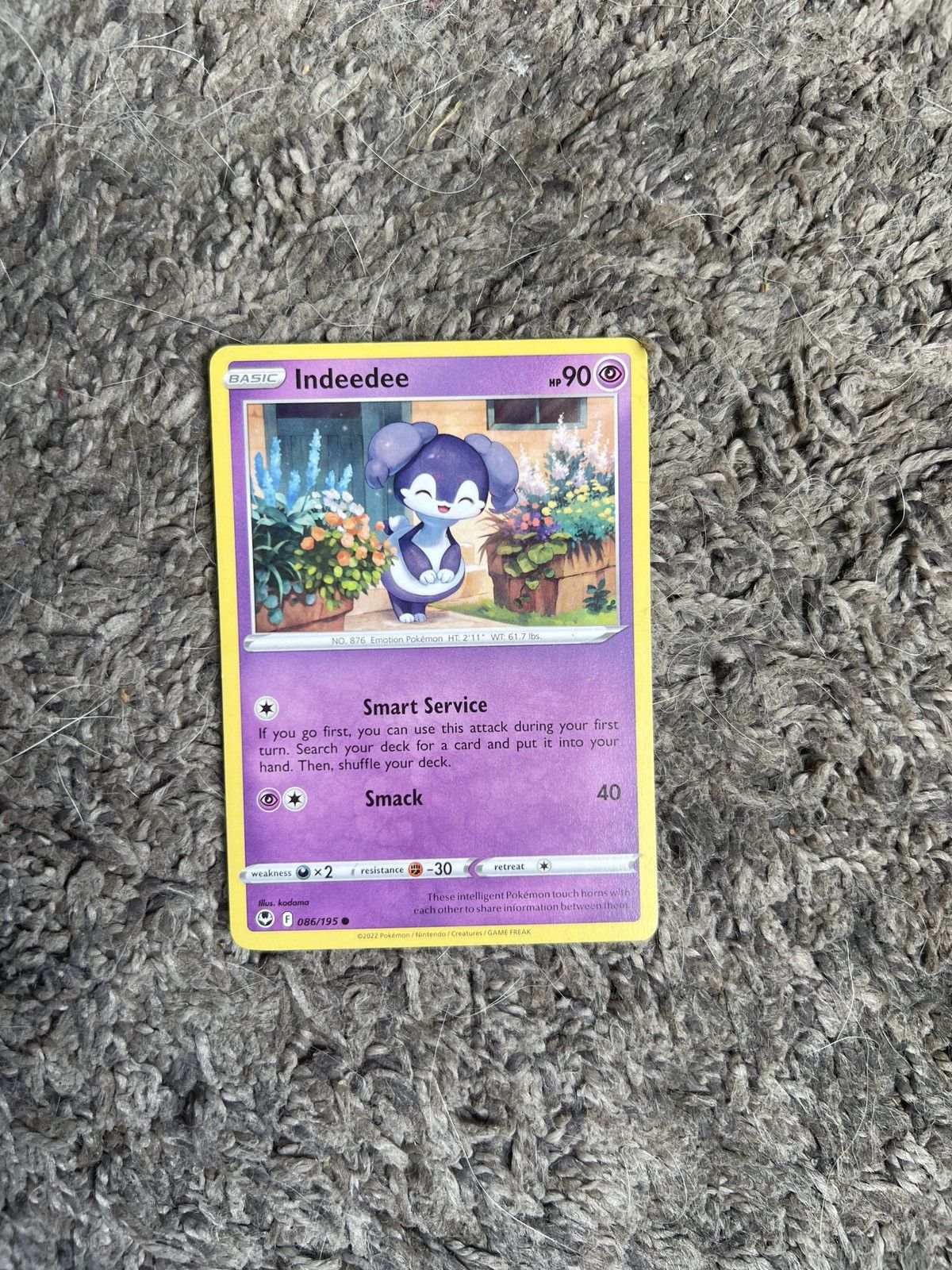 Pokemon 2022 Pokémon Indeedee Basic Card Size ONE SIZE - 1 Thumbnail