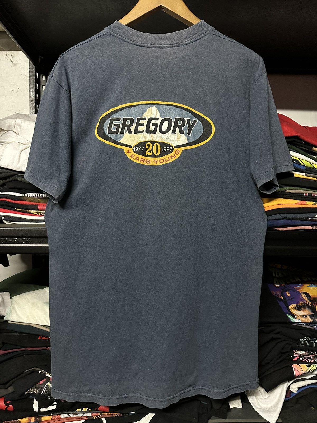 image of 90's Gregory Years Young Sun Faded Tee in Blue, Men's (Size Large)