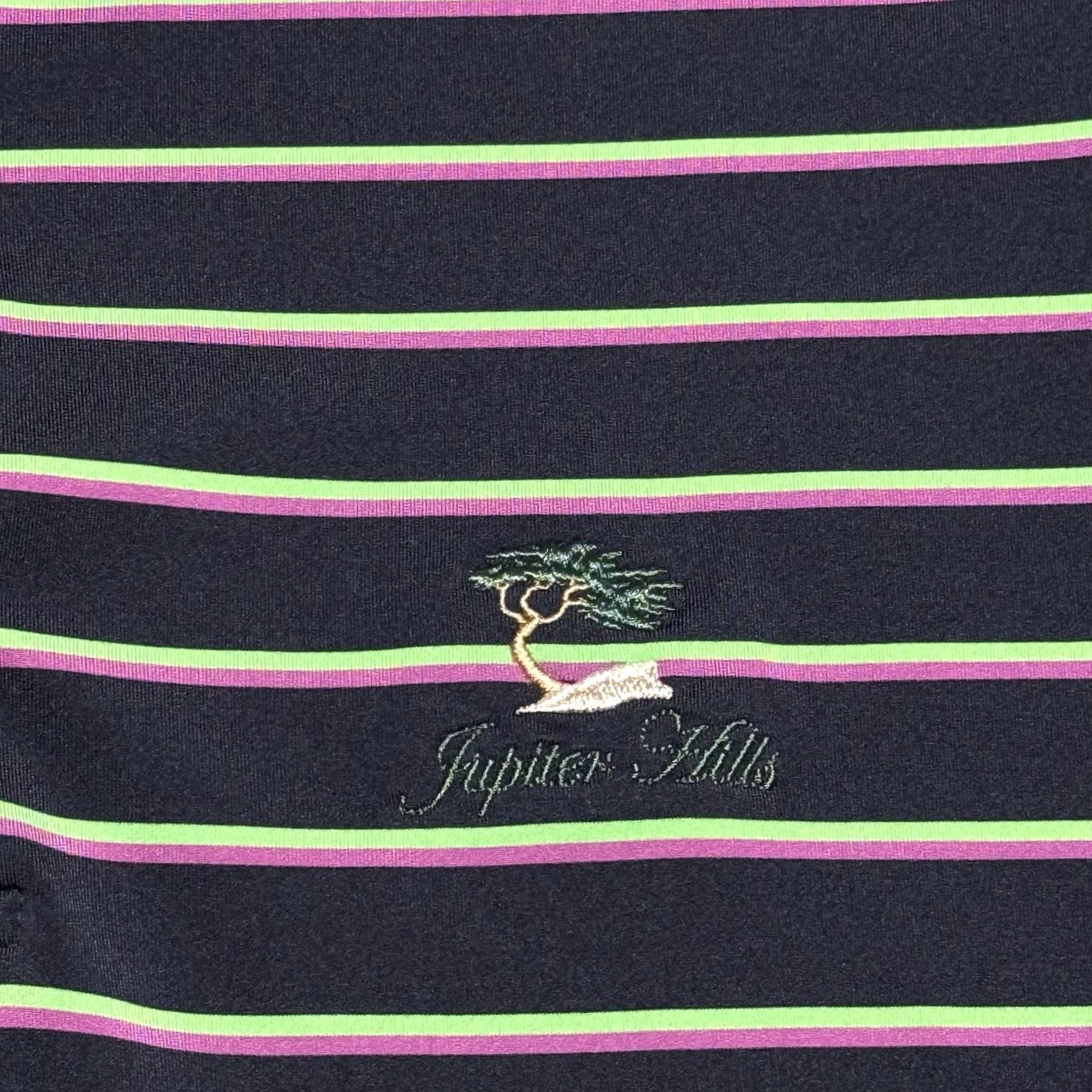 Footjoy FootJoy Polo Shirt Mens L Blue Striped Florida Golf Club Logo Short Sleeve Moisture Wicking Regular Fit Polo Shirt MensSize L Florida Logo Golf Size US L / EU 52-54 / 3 - 3 Thumbnail