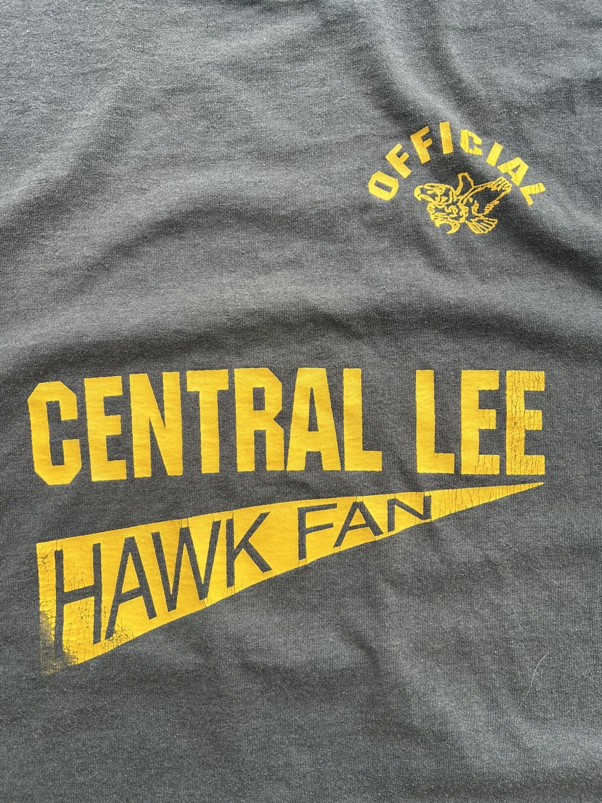 Fruit Of The Loom Vintage 80s/90s Central Lee Hawk Fan Size US L / EU 52-54 / 3 - 2 Thumbnail