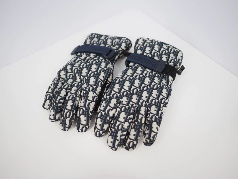 Dior DiorBlue full-print OBLIQUE ski gloves 2503-Nextarrow Size ONE SIZE - 1 Thumbnail