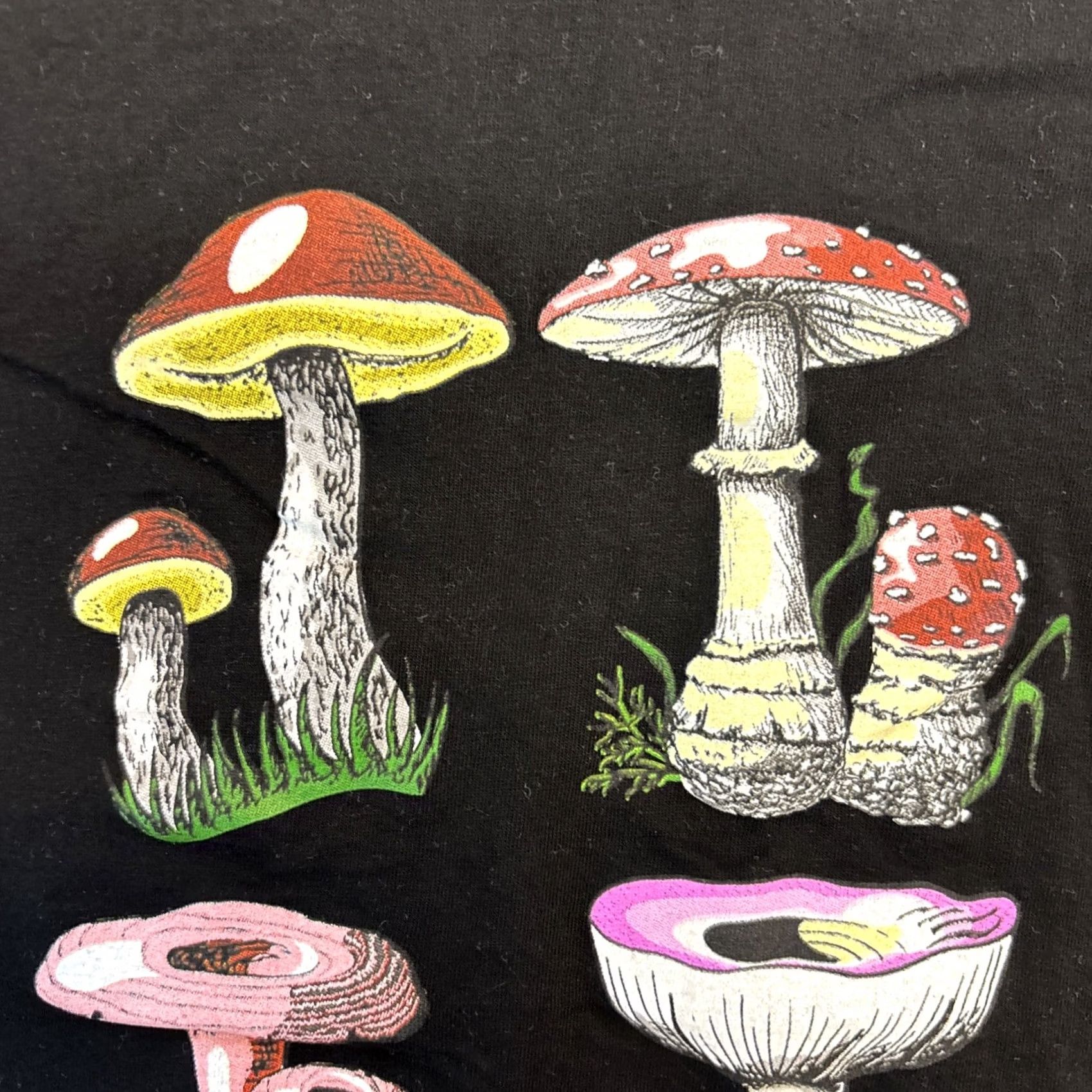 Vintage Poisonous Mushroom Season Funny Fungi Mycology Foraging T-Shirt XL NWOT Unisex Adults Black Cotton Short Sleeve Graphic Print Modern Trending 2020s Size US XL / EU 56 / 4 - 4 Thumbnail