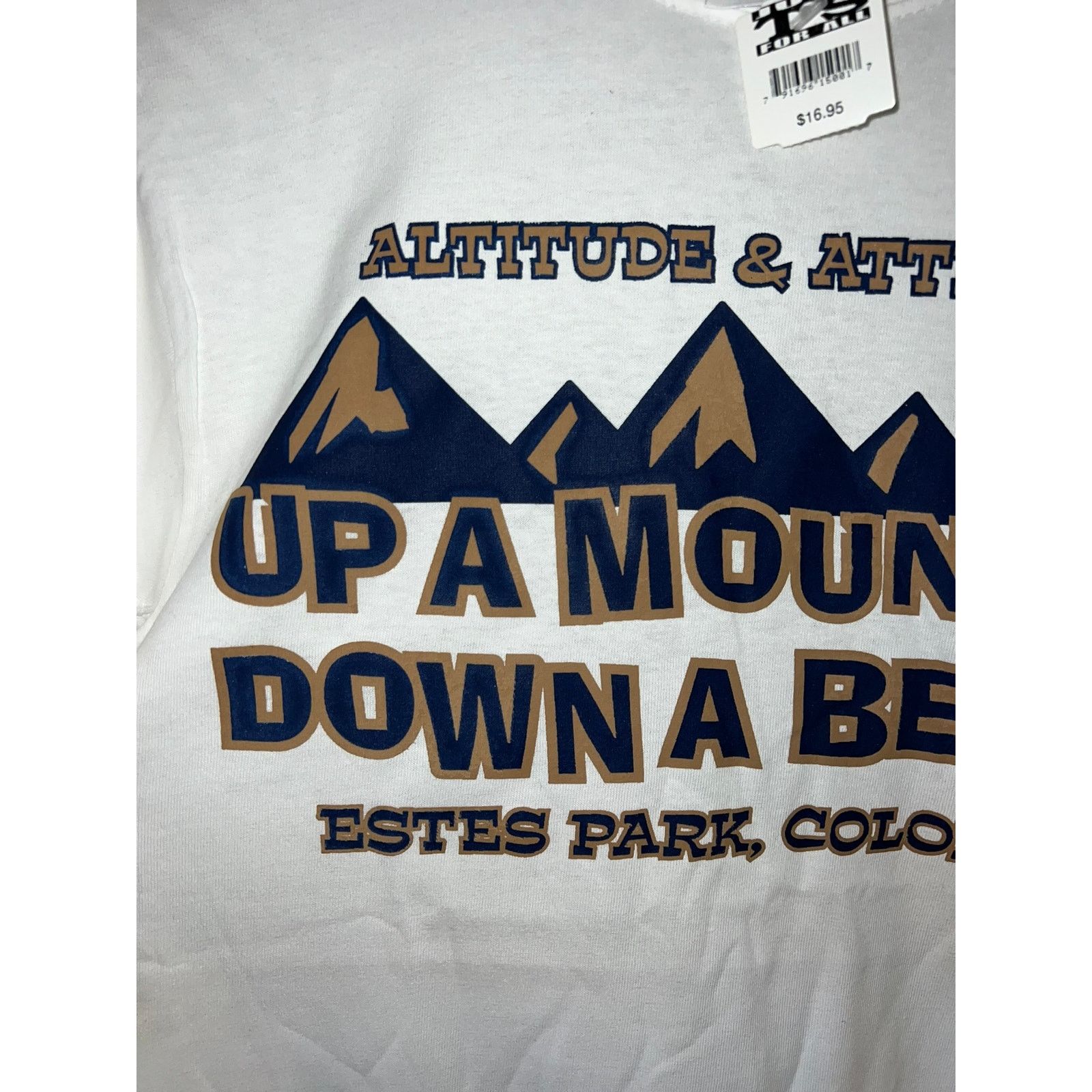 Gildan Y2K Up A Mountain Down A Beer Estes Park CO Shirt 2000s S Size US S / EU 44-46 / 1 - 2 Thumbnail