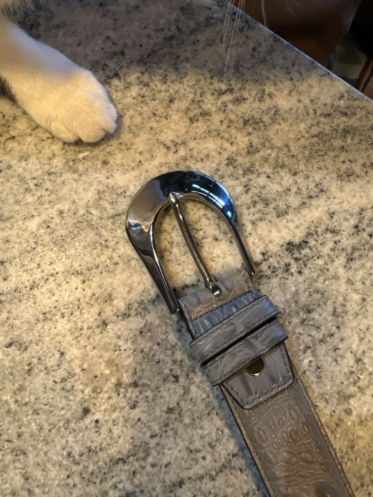 Other Snakeskin Belt Size 30 - 1 Thumbnail