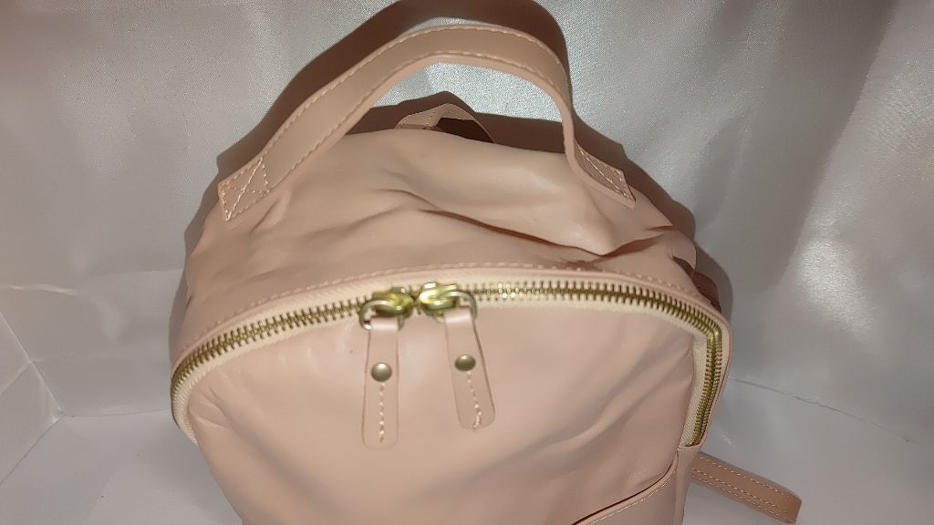 American Eagle Outfitters American Eagle Outfitters Blush Pink Leather Mini Backpack Size ONE SIZE - 4 Thumbnail