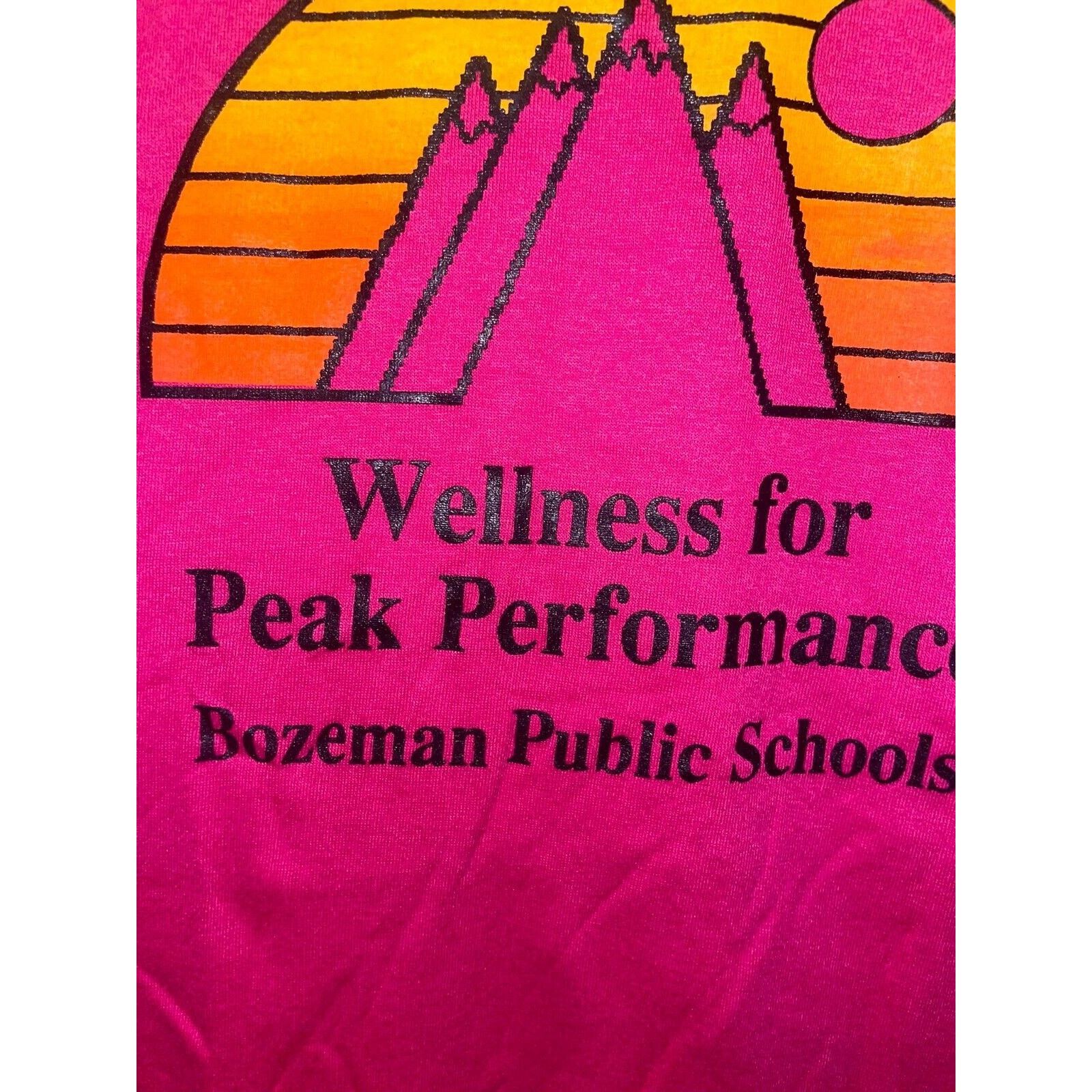 Jerzees Vintage Bozeman School Shirt Wellness Peak Pink Tee VTG 90s Size US L / EU 52-54 / 3 - 5 Thumbnail
