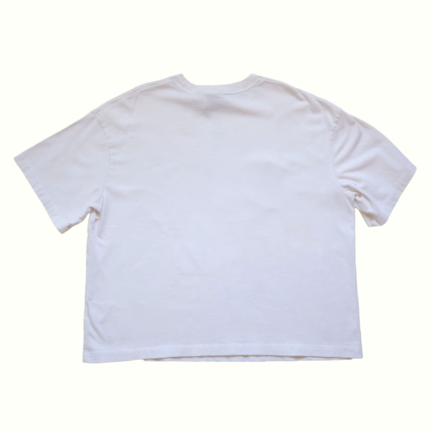 Nike VINTAGE Nike SWOOSH SPORTWEAR ACTIVE RETRO Y2K WHITE GRAPHIC BOXY T SHIRT SZ L Size US L / EU 52-54 / 3 - 3 Thumbnail