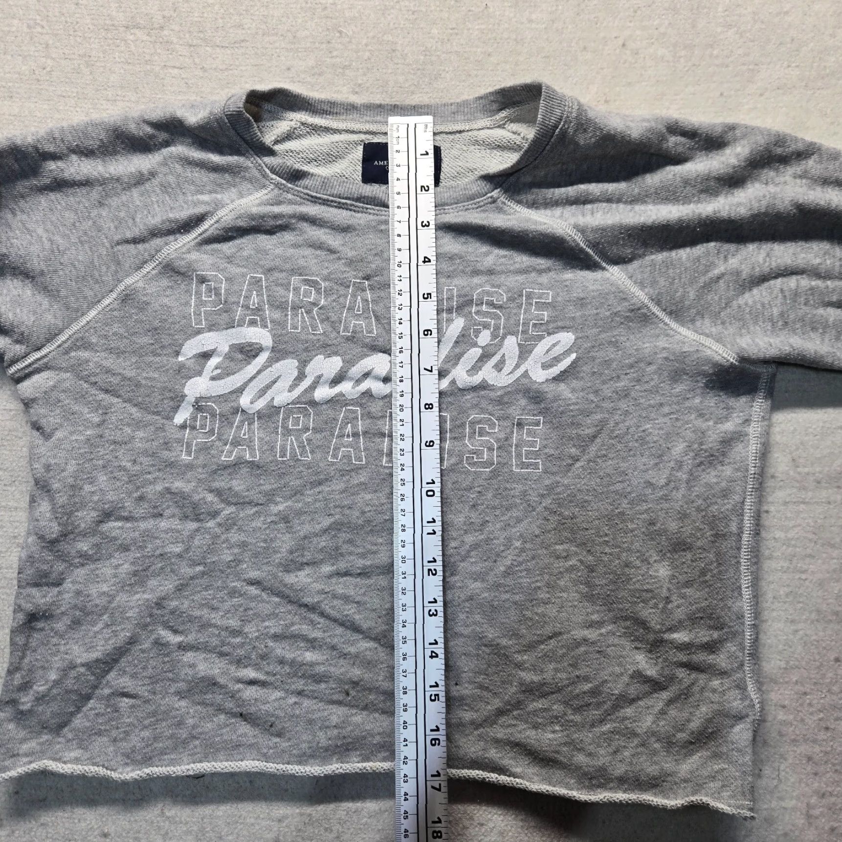 American Eagle Outfitters American Eagle Outfitters Sweater Adult Women S Short Gray Crew Neck Long Sleeve Lightweight Cropped Knit Size S / US 4 / IT 40 - 6 Thumbnail