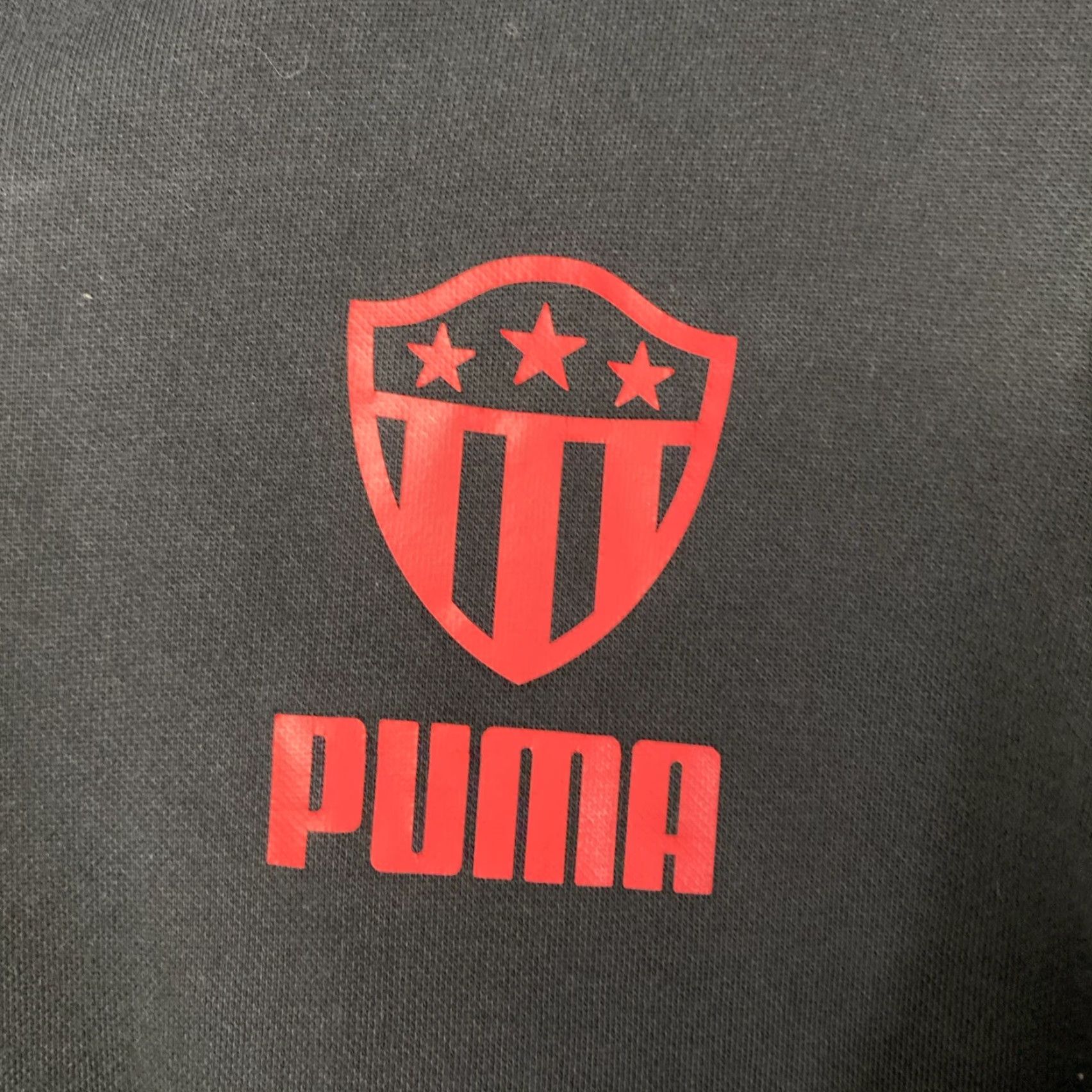 Puma Puma Forever Better Hoodie Large Pullover Hooded Black Logo Graphic Print Athletic Casual Unisex Adults L Size US L / EU 52-54 / 3 - 4 Thumbnail