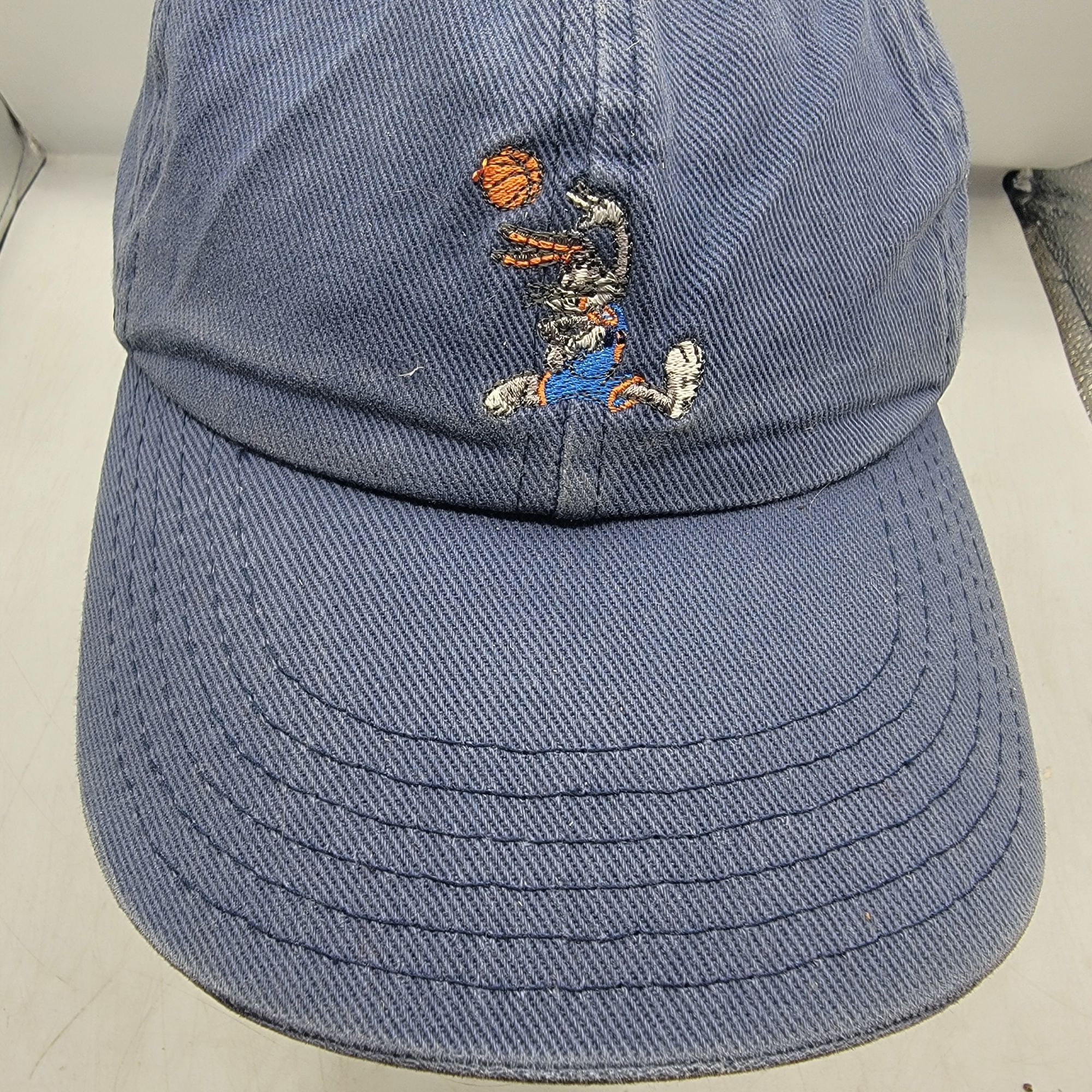 Other Space Jam x Love Your Melon Adults Blue Baseball Hat Cap Bug Size ONE SIZE - 9 Thumbnail