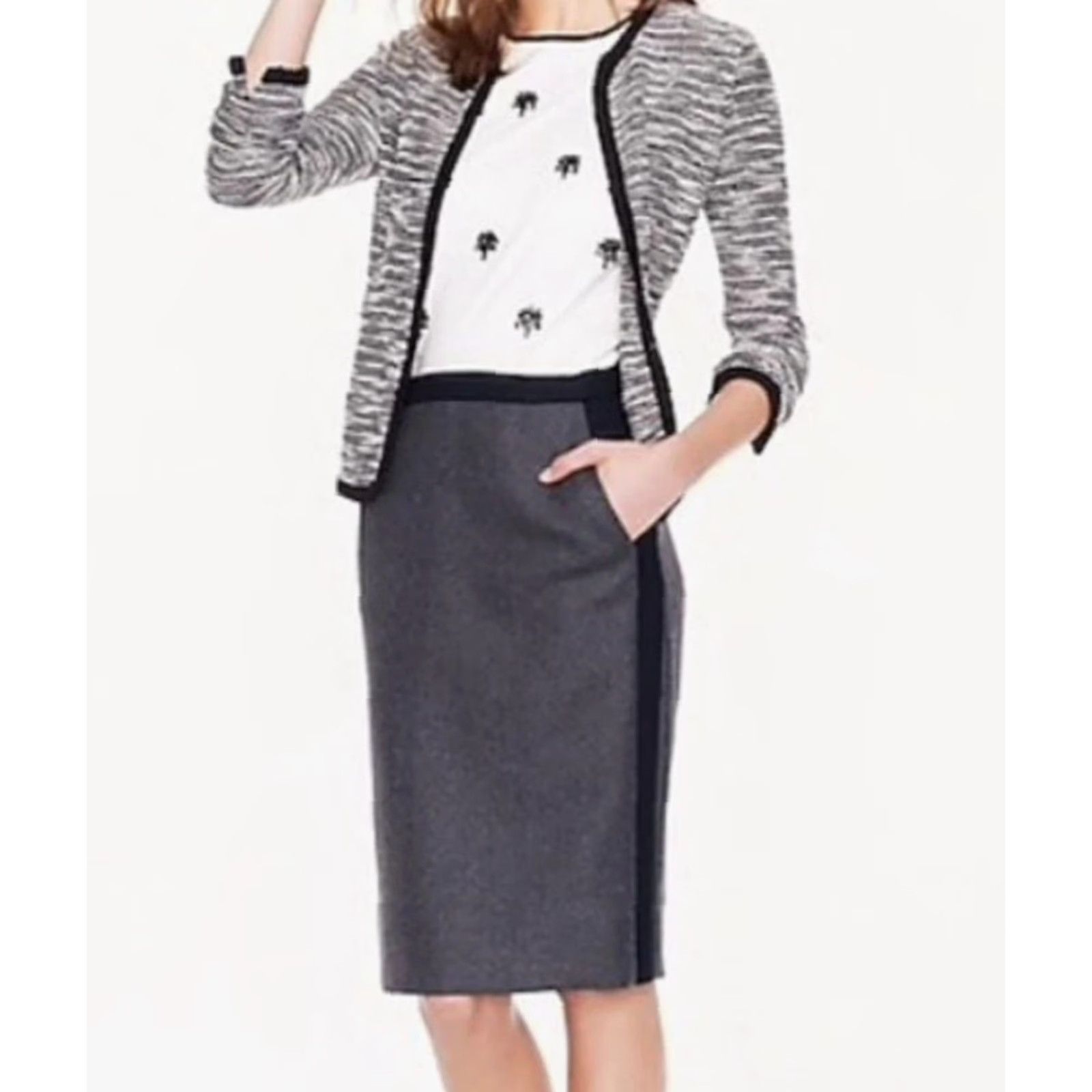 J.Crew J.CREW No. 2 Pencil Wool Skirt Lined Gray 8 Womens Skirt Knee Length Pencil 100% Wool NWT 2013 Fall City Business Casual Side Panels Dry Clean Only Size 30" / US 8 / IT 44 - 2 Thumbnail