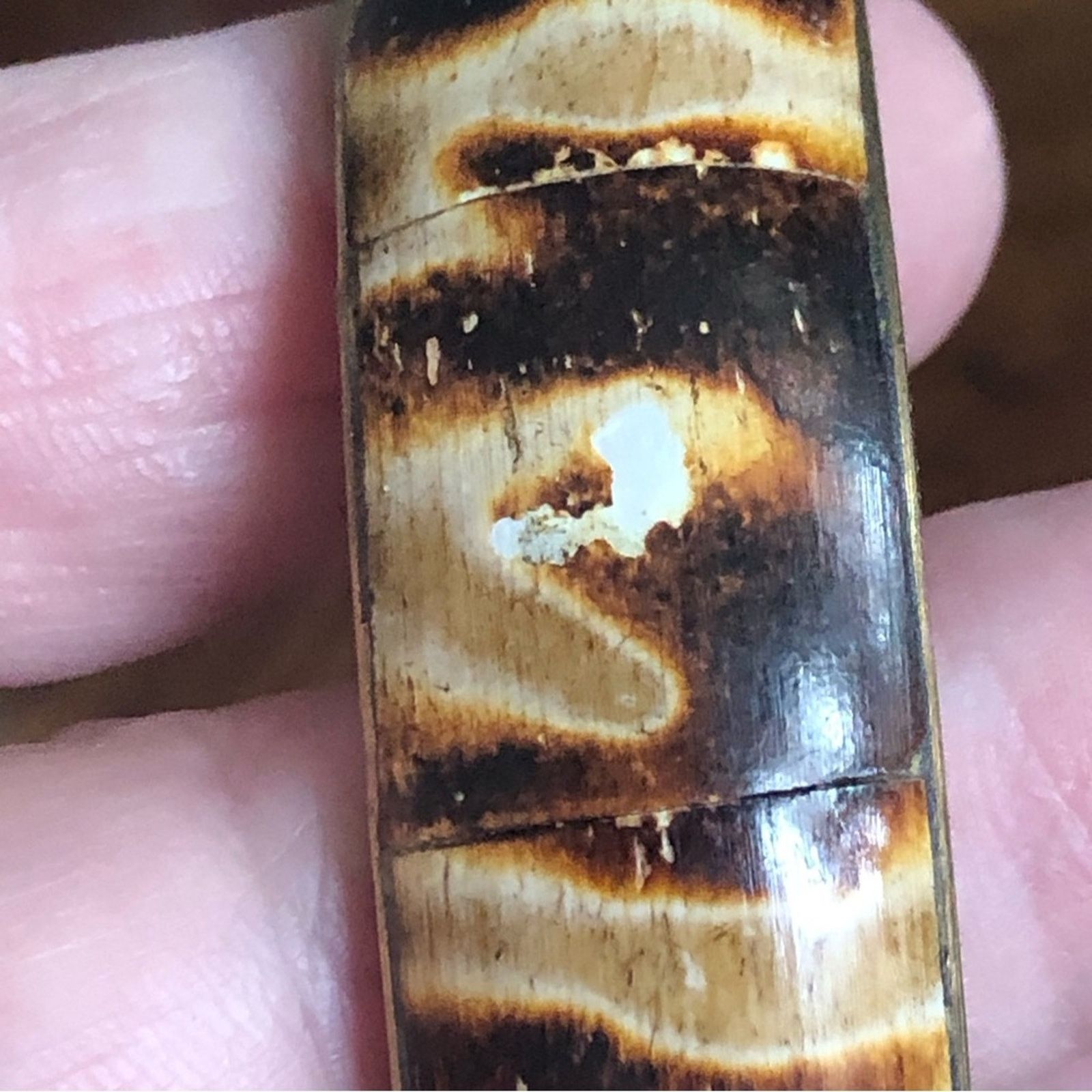 Vintage Vintage solid brass rare nautilus fossil bangle bracelet NWT Size ONE SIZE - 8 Thumbnail