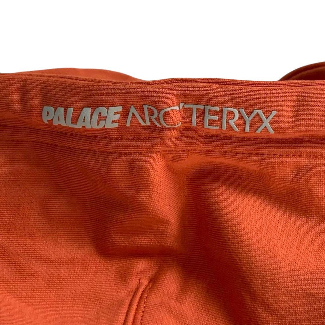 Arc'teryx × Palace Arcteryx x Palace Hoodie Size US M / EU 48-50 / 2 - 8 Thumbnail