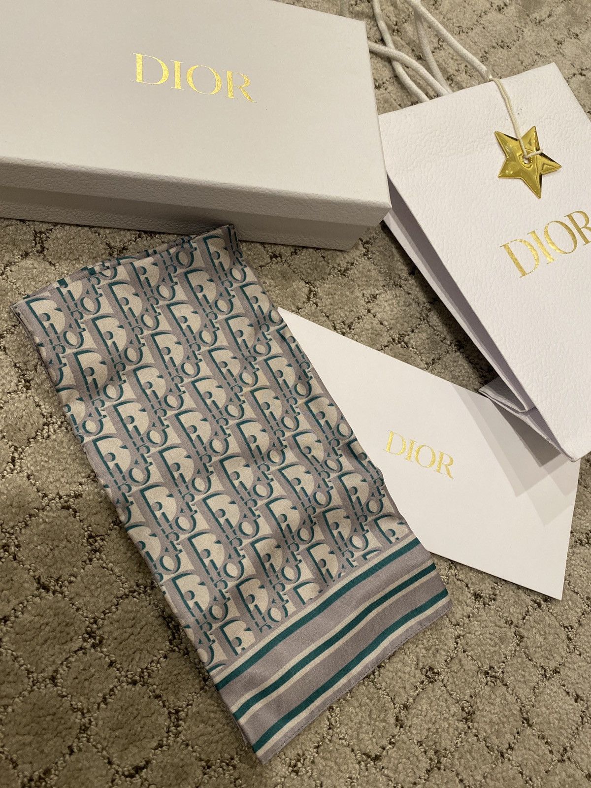 Dior Dior Ties Paph foulards Size ONE SIZE - 1 Thumbnail