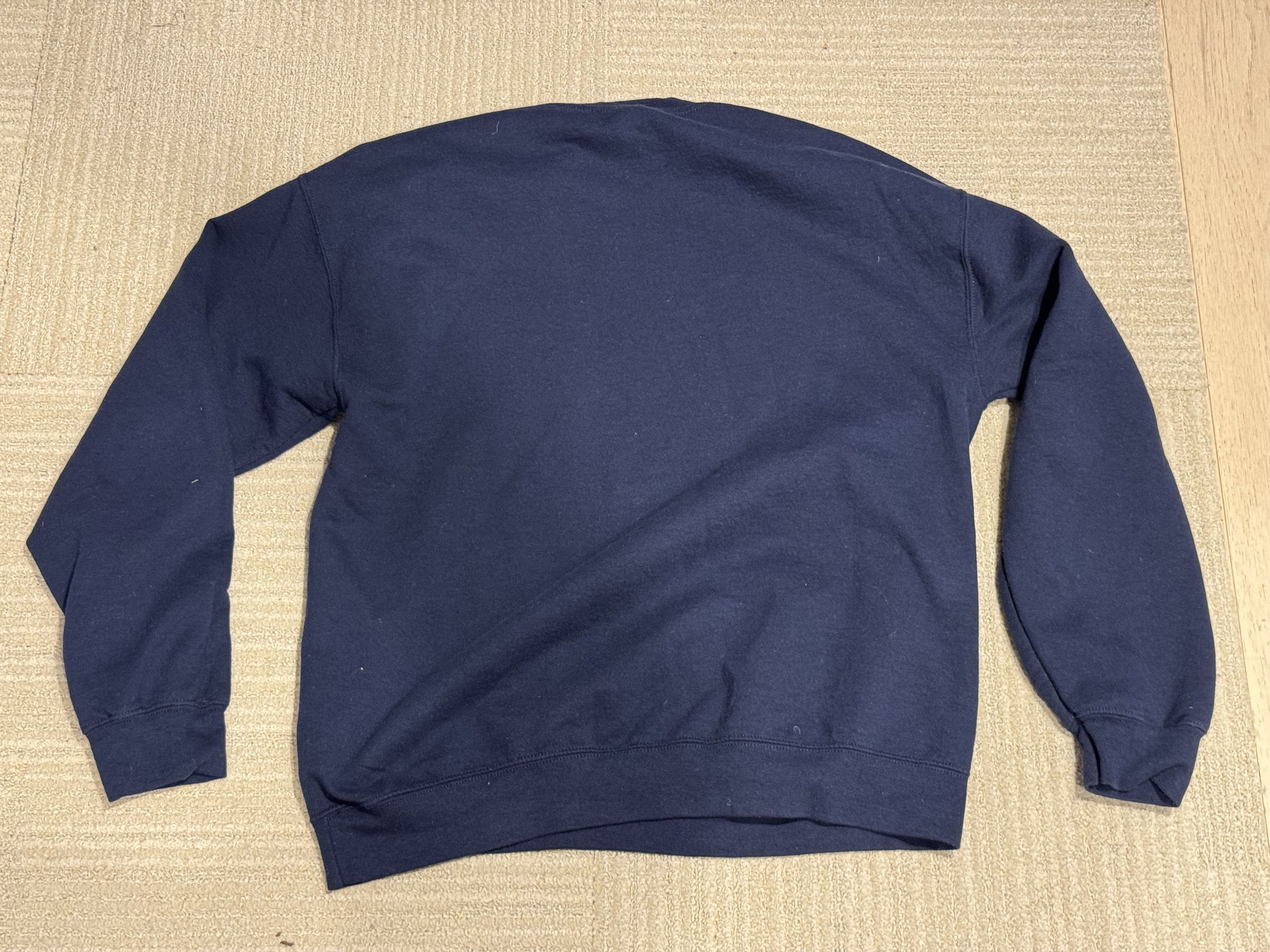 Gildan American Museum of Natural History sweatshirt Size US L / EU 52-54 / 3 - 2 Thumbnail