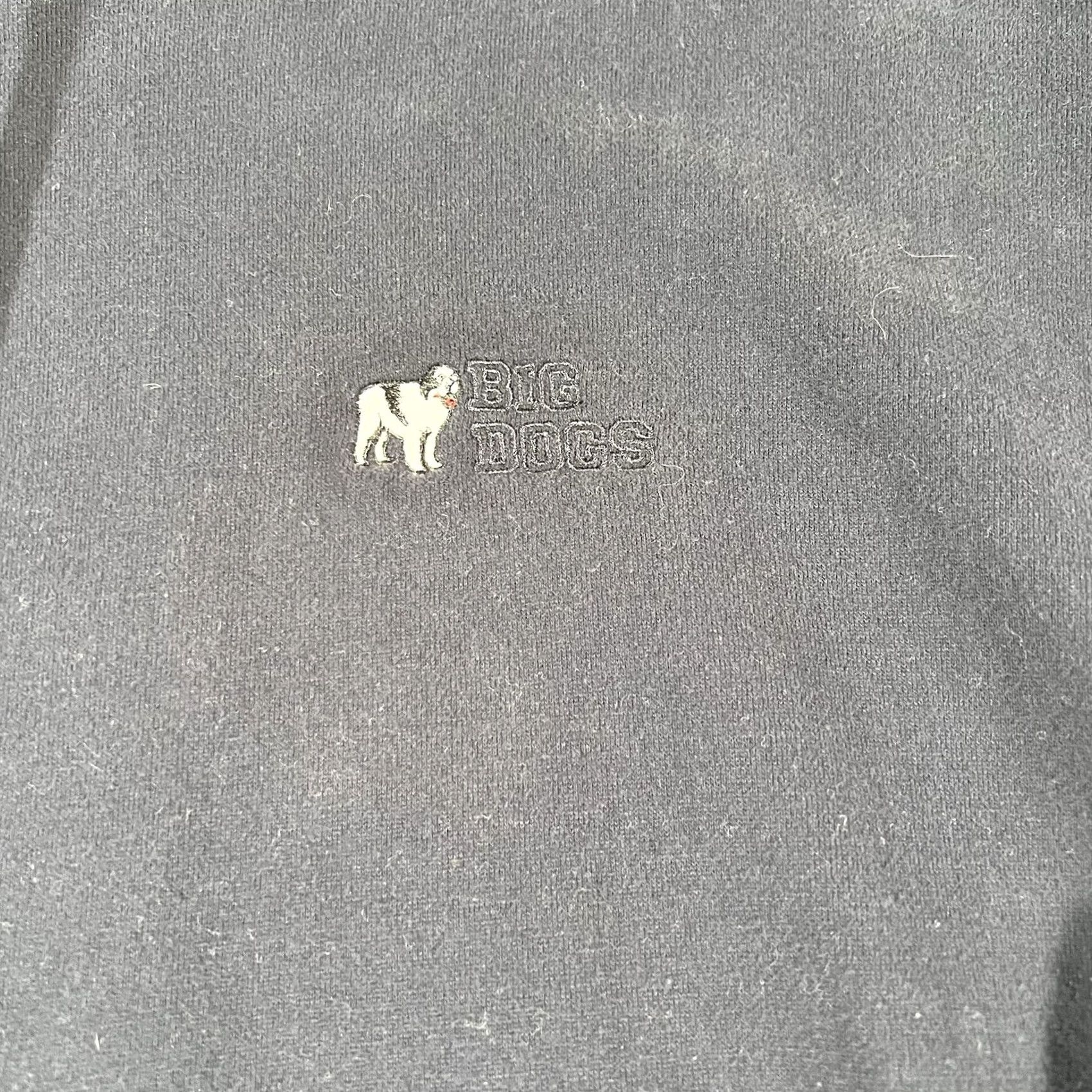 Big Dogs VINTAGE Big Dogs Hoodie Shirt Mens Large Blue Embroidered Hooded Pullover Sweatshirt Size US L / EU 52-54 / 3 - 4 Thumbnail