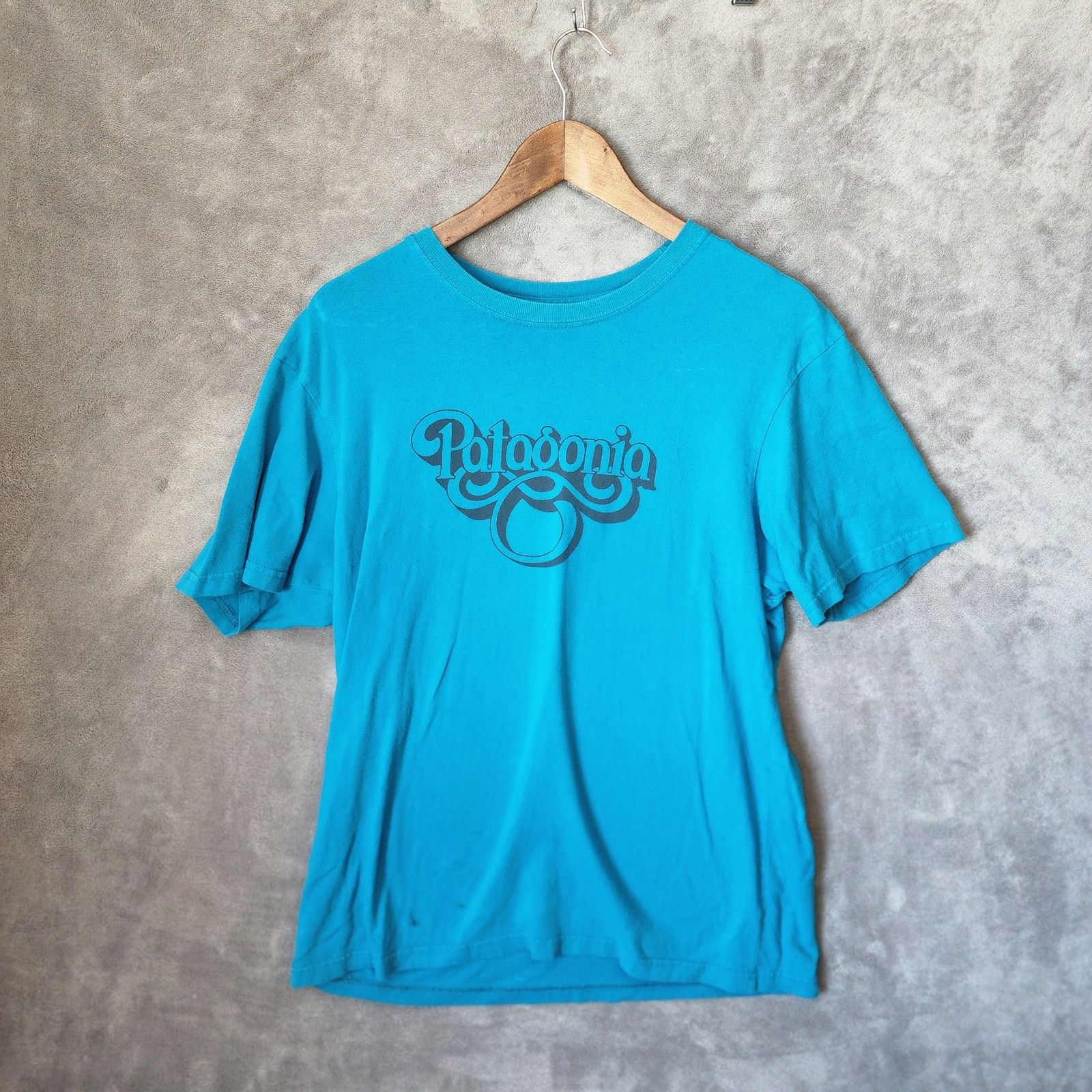 Patagonia Men's Patagonia Medium Spell Out T-Shirt Blue Size US M / EU 48-50 / 2 - 1 Thumbnail