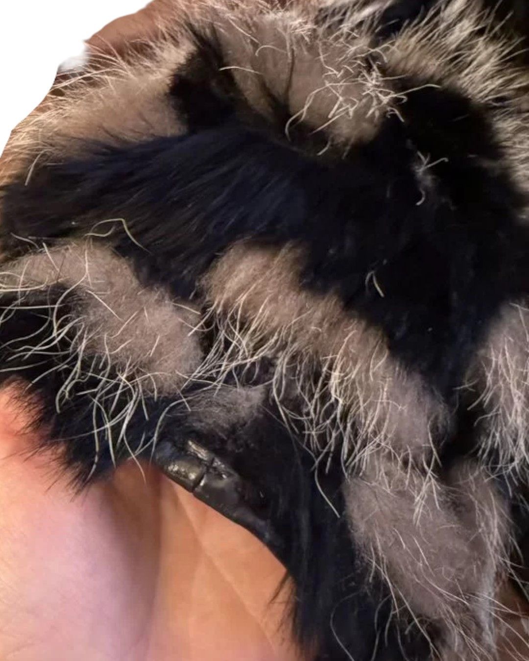 Gucci F/W 2008 RACCOON FUR LEATHER BOMBER JACKET Size XS / US 0-2 / IT 36-38 - 8 Thumbnail