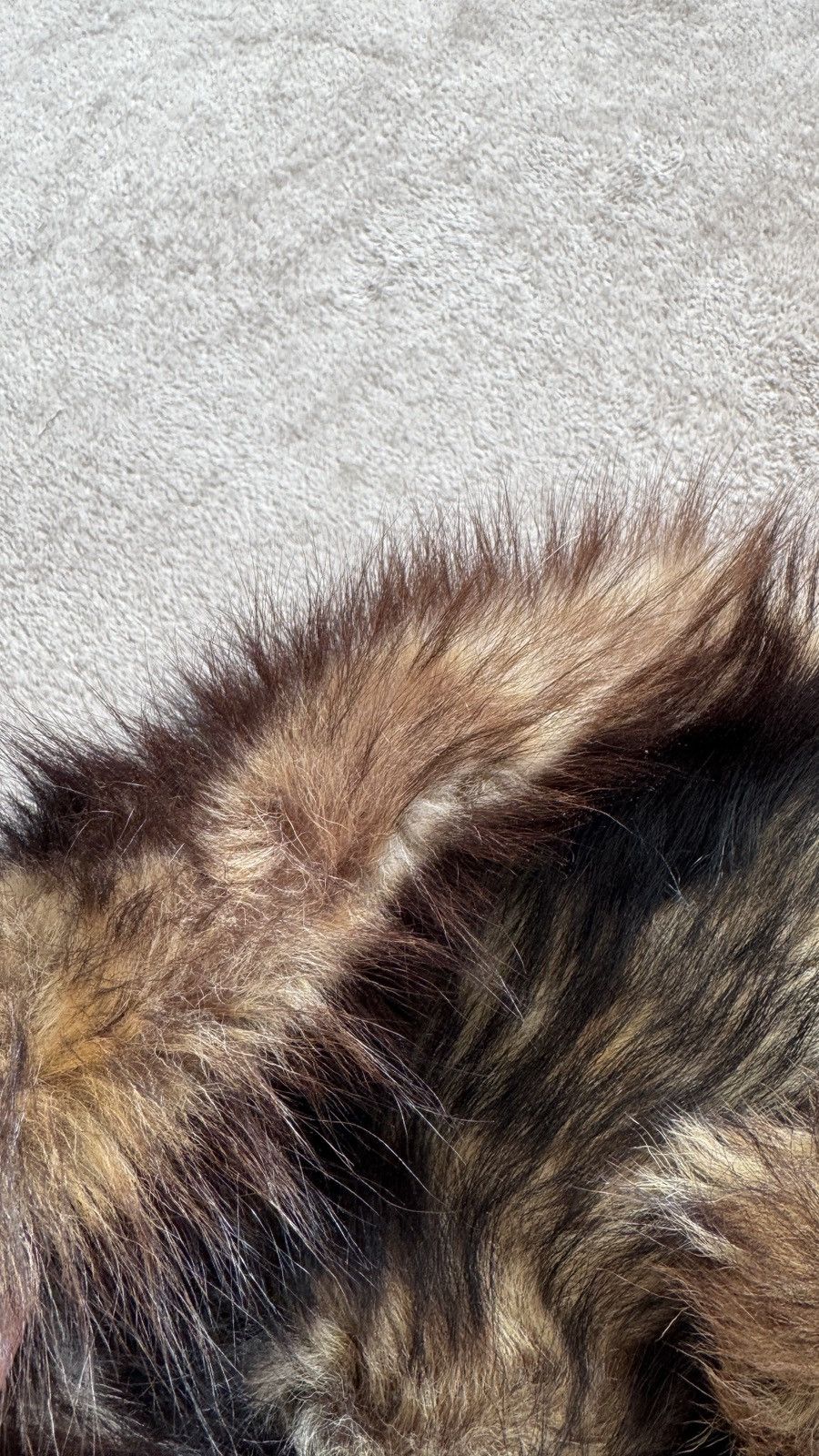 Giorgio Armani Giorgio Armani Fur Scarf Collar margiela gucci balenciaga Size ONE SIZE - 3 Thumbnail