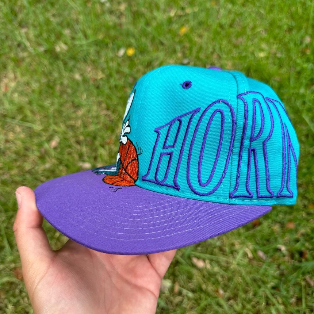 Vintage 90s Starter Charlotte Hornets Big Monster Logo NBA B