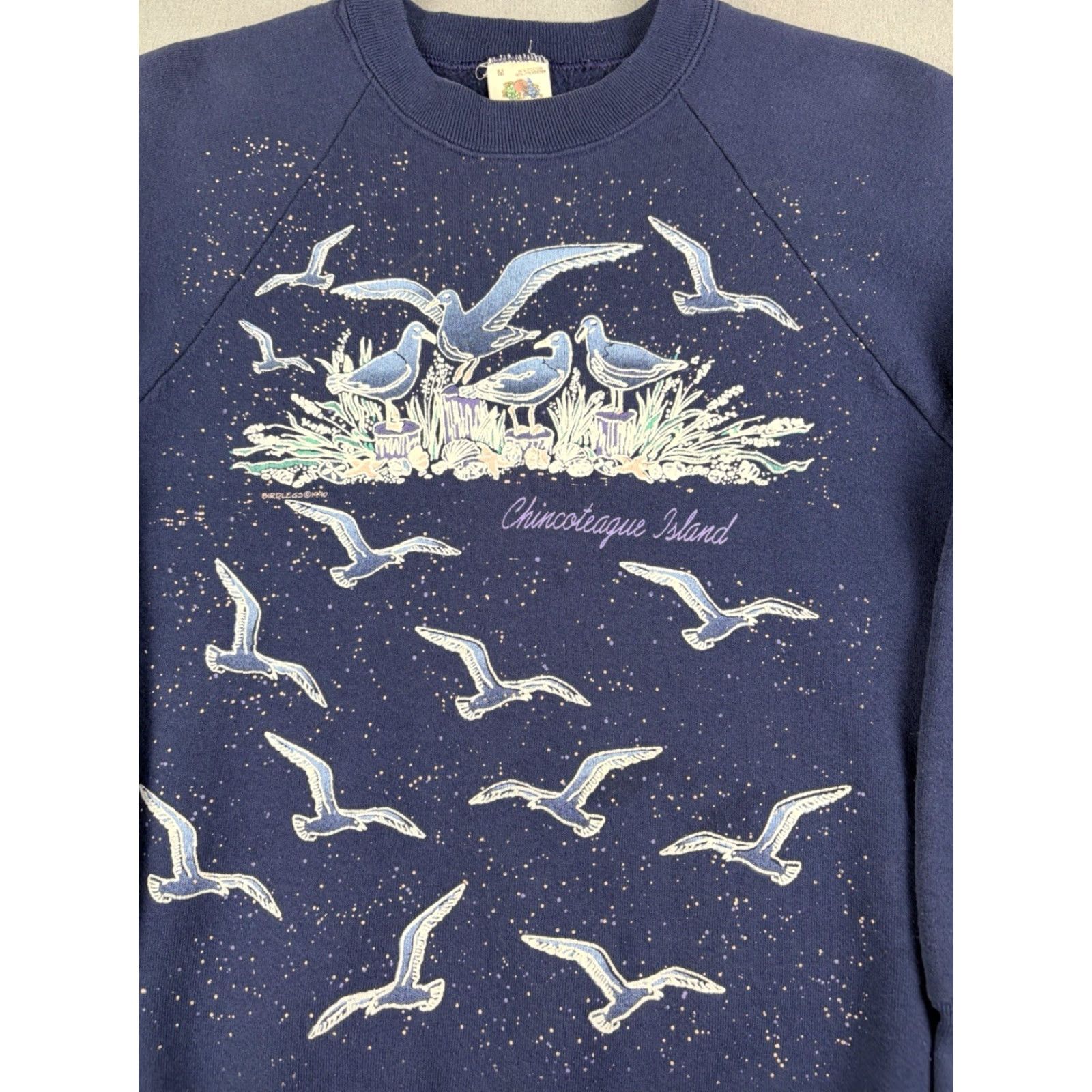 Fruit Of The Loom VINTAGE Fruit of the Loom Sweatshirt Chincoteague Island Virginia Nature Crewneck Blue M Men Regular Cotton Fleece Logo Pullover Size US M / EU 48-50 / 2 - 2 Thumbnail