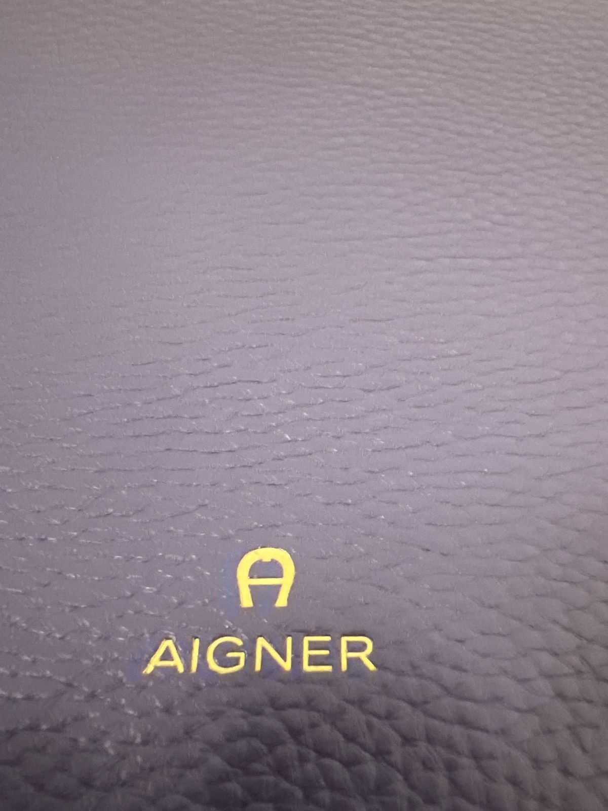 Aigner Aigner Lavender Leather shoulder bag Size ONE SIZE - 10 Thumbnail