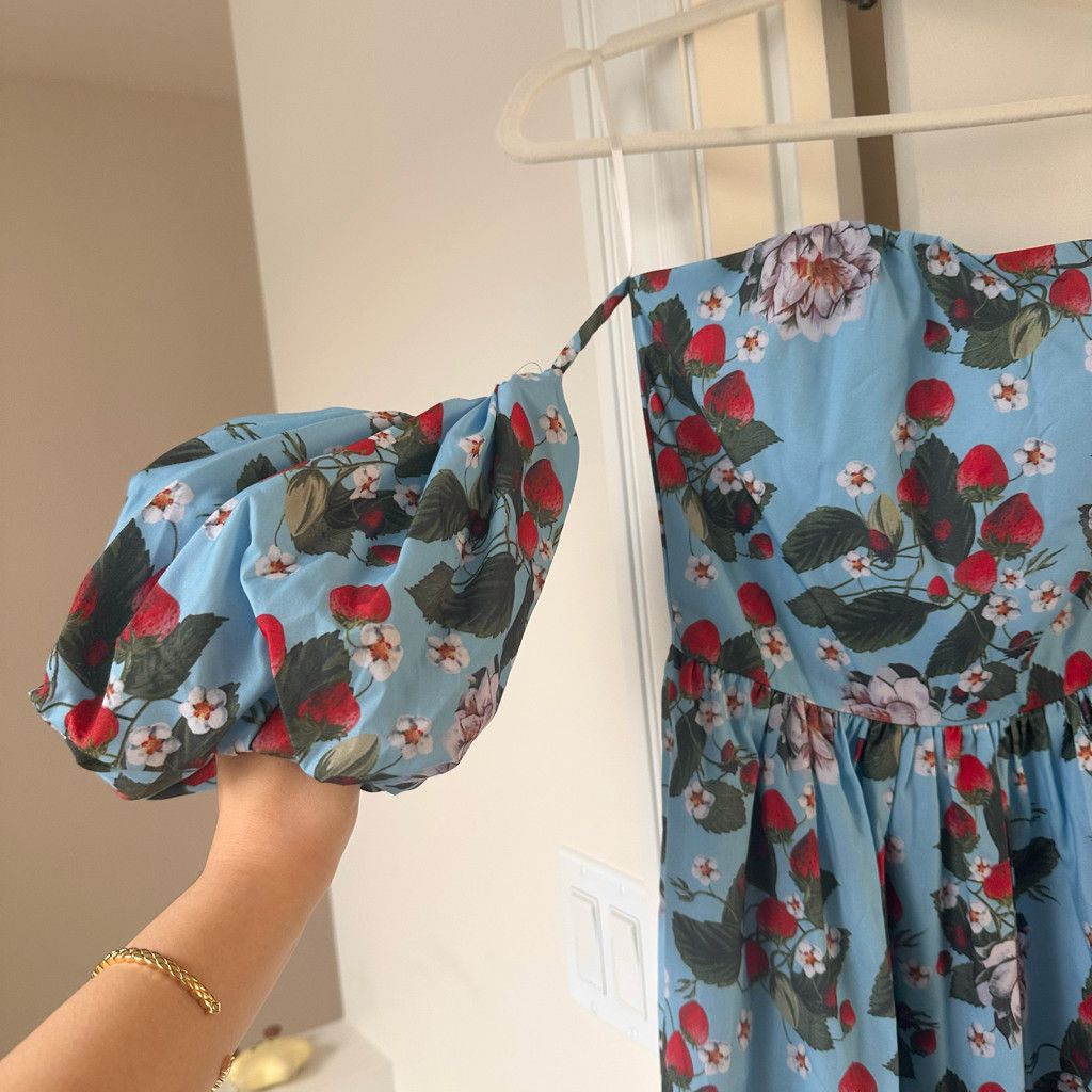 Zara Romantic Blue Strawberries and Floral Puff-Sleeve Maxi Dress Size S / US 4 / IT 40 - 9 Thumbnail