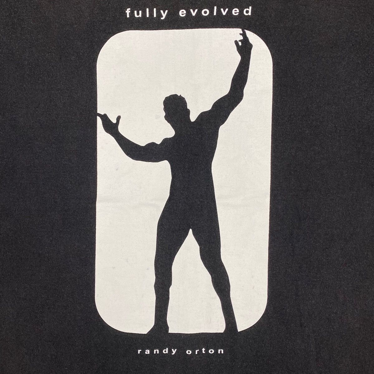 WWE Vintage RANDY ORTON Fully Evolved Wrestling Graphic Tee Size US L / EU 52-54 / 3 - 3 Thumbnail