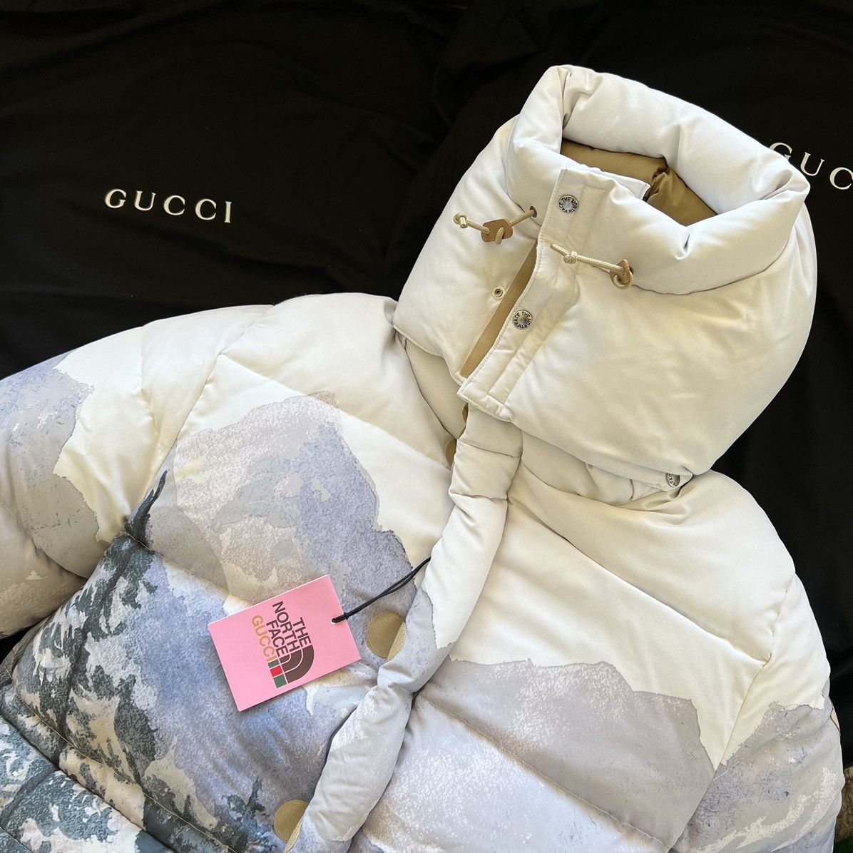 Gucci × The North Face Gucci X North Face Puffer Jacket in Large Size US L / EU 52-54 / 3 - 3 Thumbnail