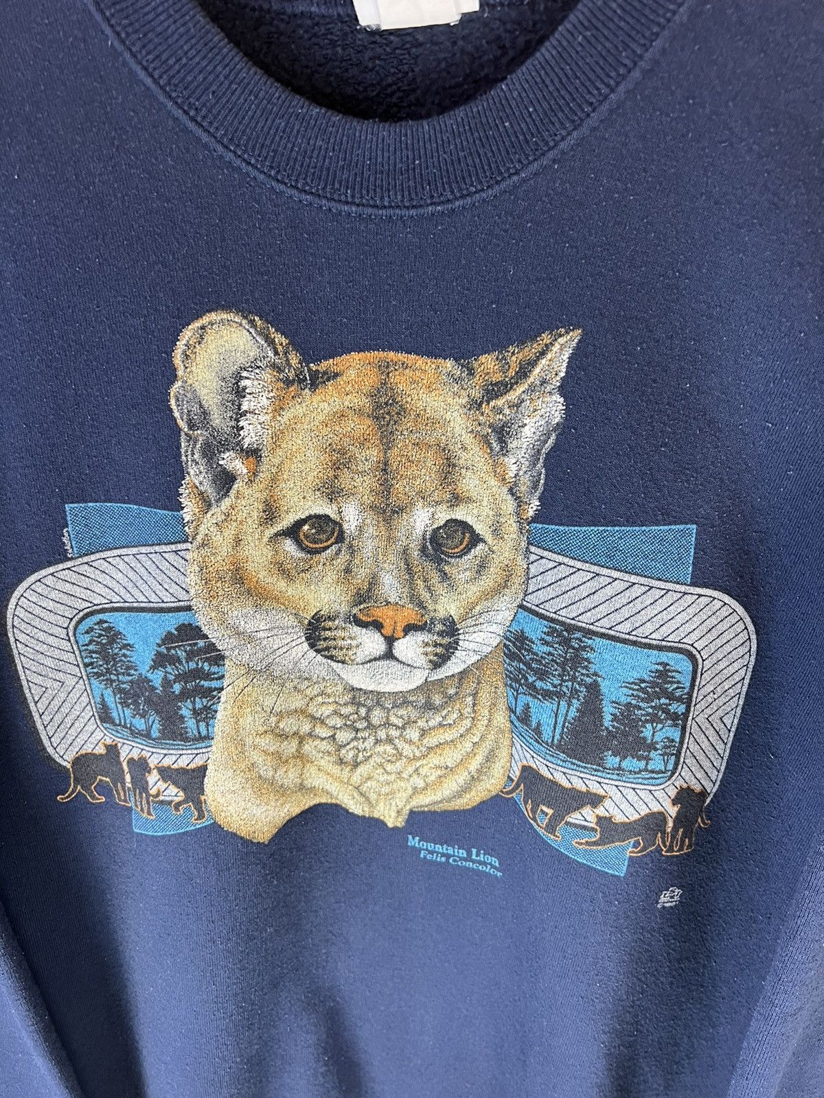 Lee Vintage Lee Sturdy Sweats Mountain Lion sweater crewneck Size US S / EU 44-46 / 1 - 4 Thumbnail