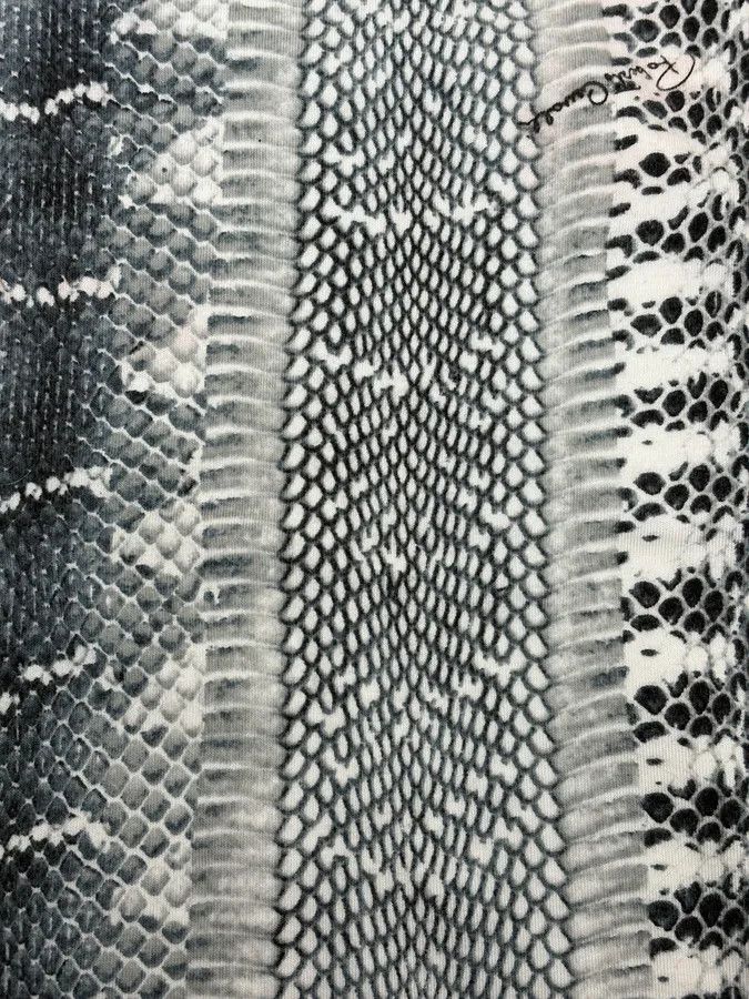 Roberto Cavalli 2000s Roberto Cavalli Python Snake Grey Longsleeves Size US S / EU 44-46 / 1 - 7 Thumbnail